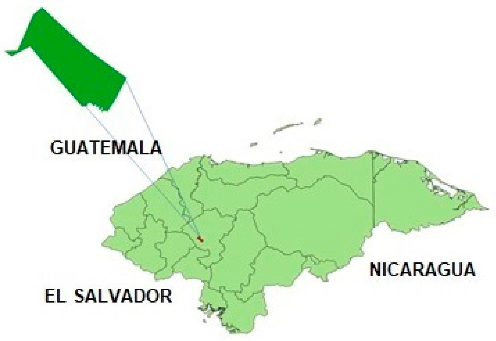 Sustainability 14 11114 g001