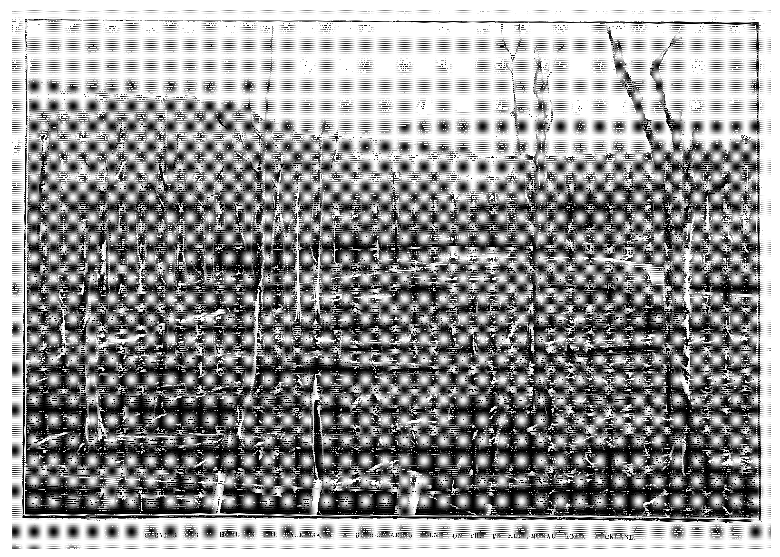 Sustainability 14 11127 g007 550