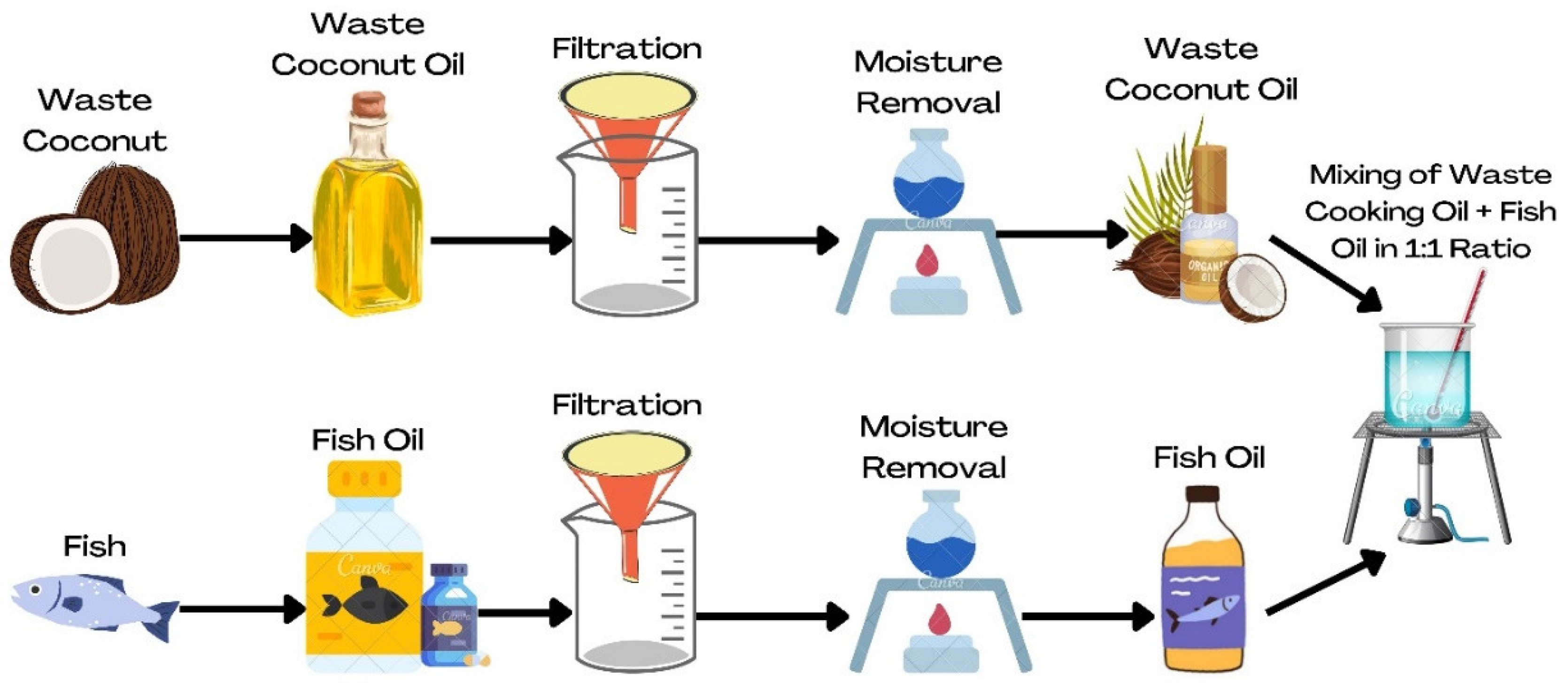 Sustainability Free FullText MgO NanoCatalyzed Biodiesel