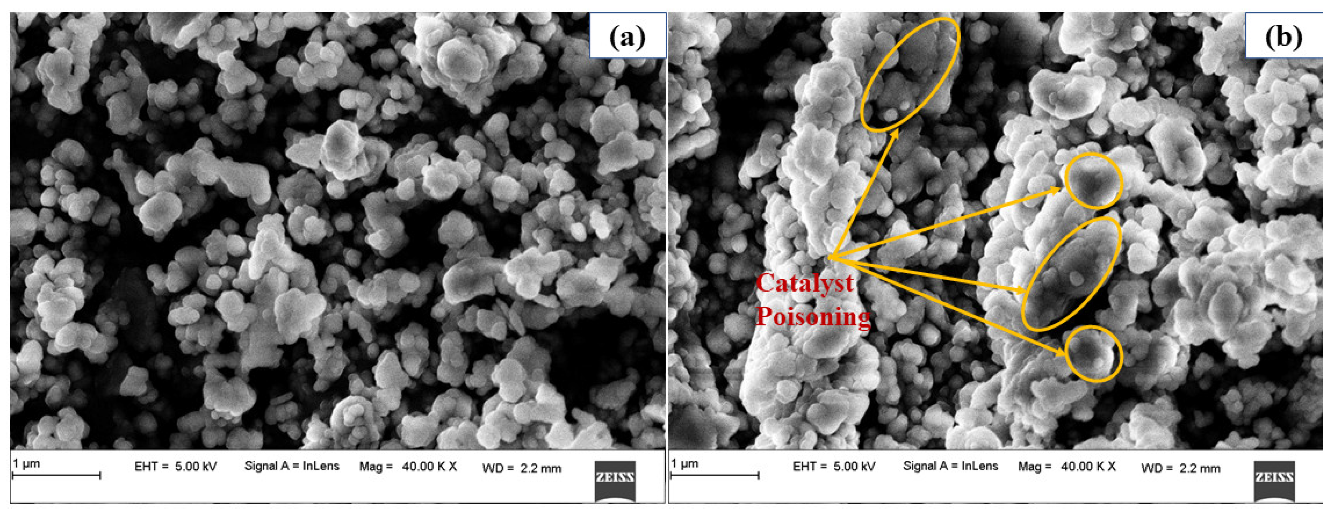 Sustainability 14 11132 g008