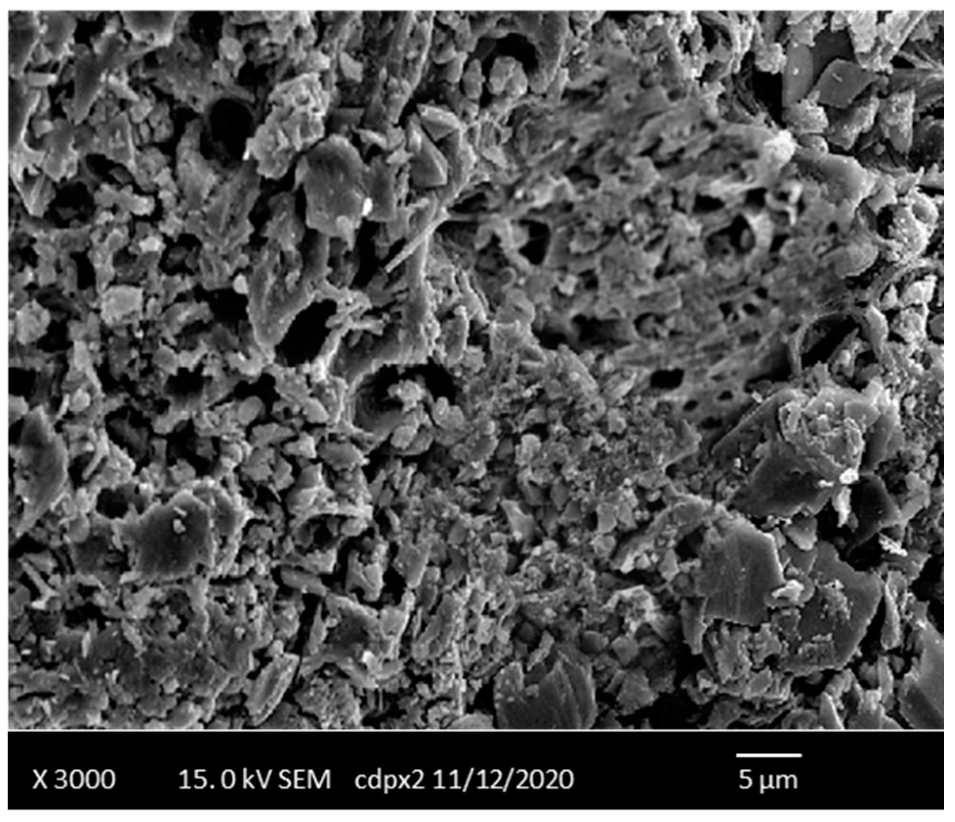 Sustainability 14 11144 g006