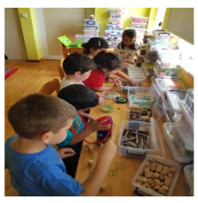 Sustainability 14 11218 i004