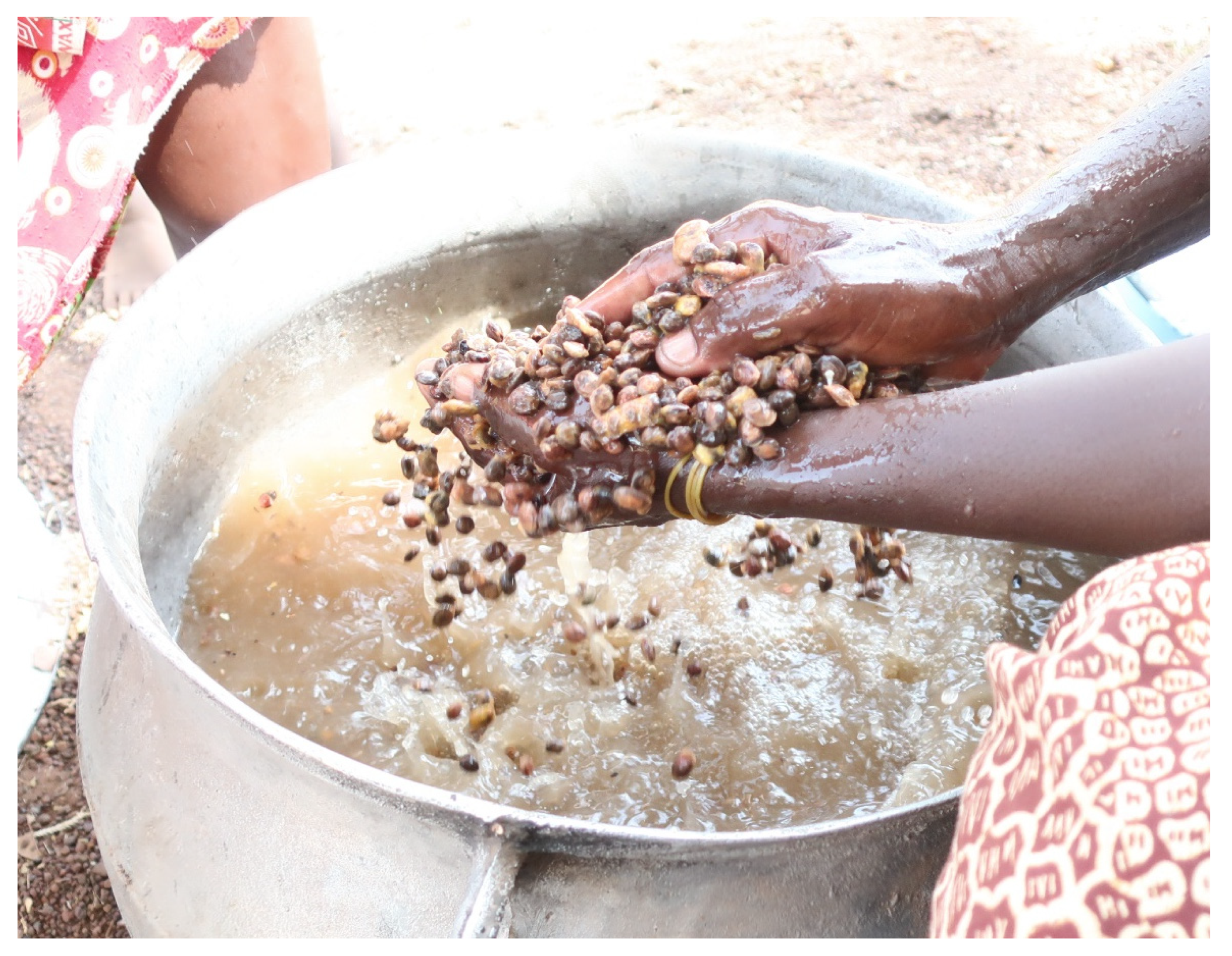 Sustainability 14 11302 g004