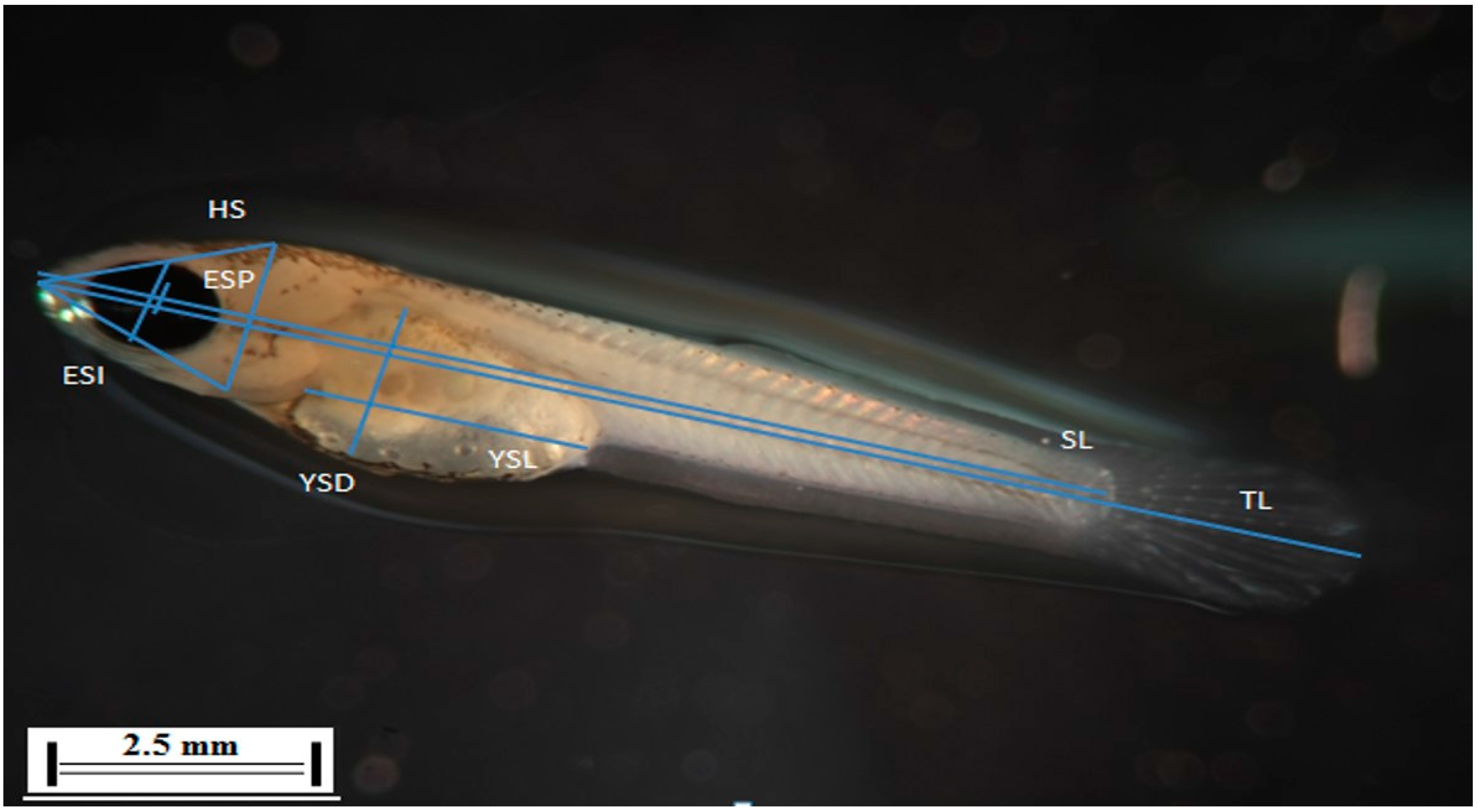 Sustainability 14 11304 g002
