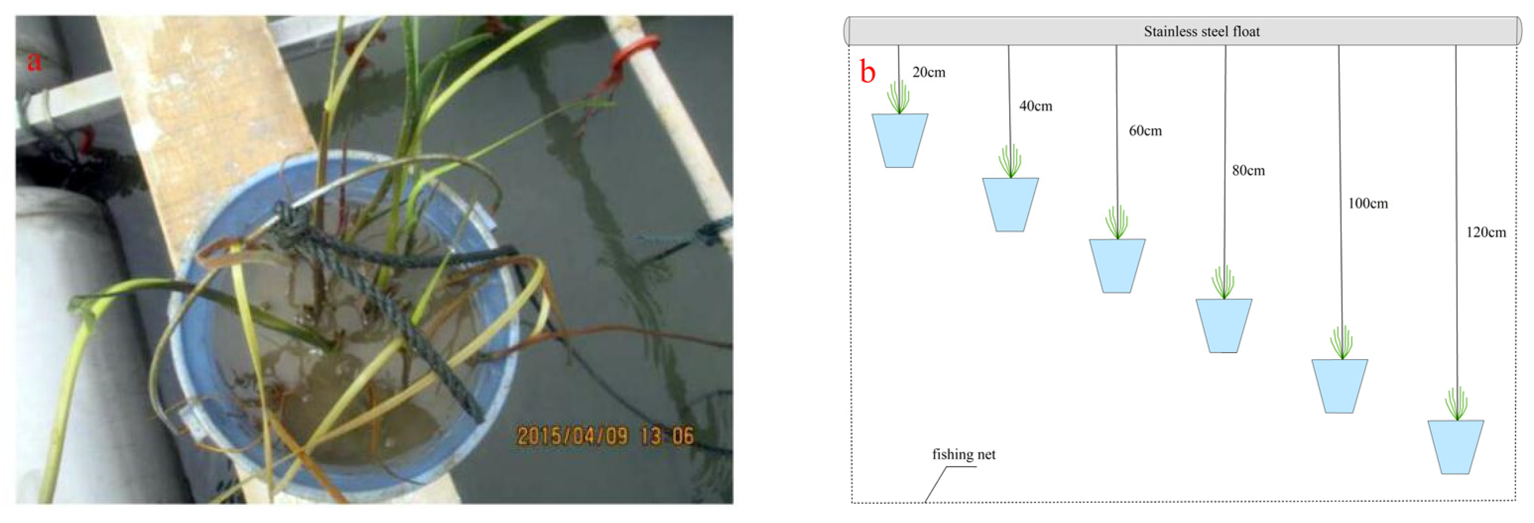 Sustainability 14 11309 g002 550