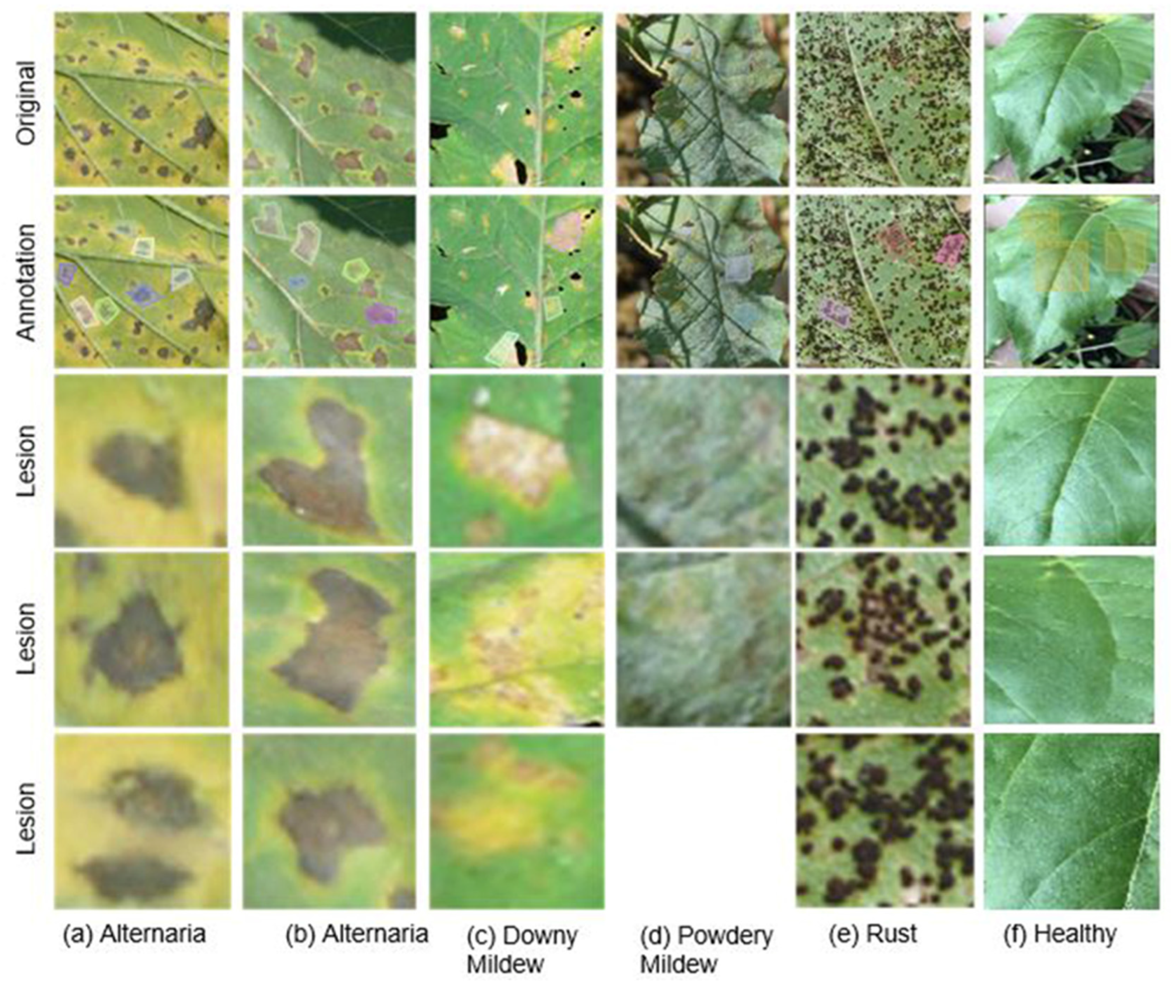 Sustainability 14 11312 g001