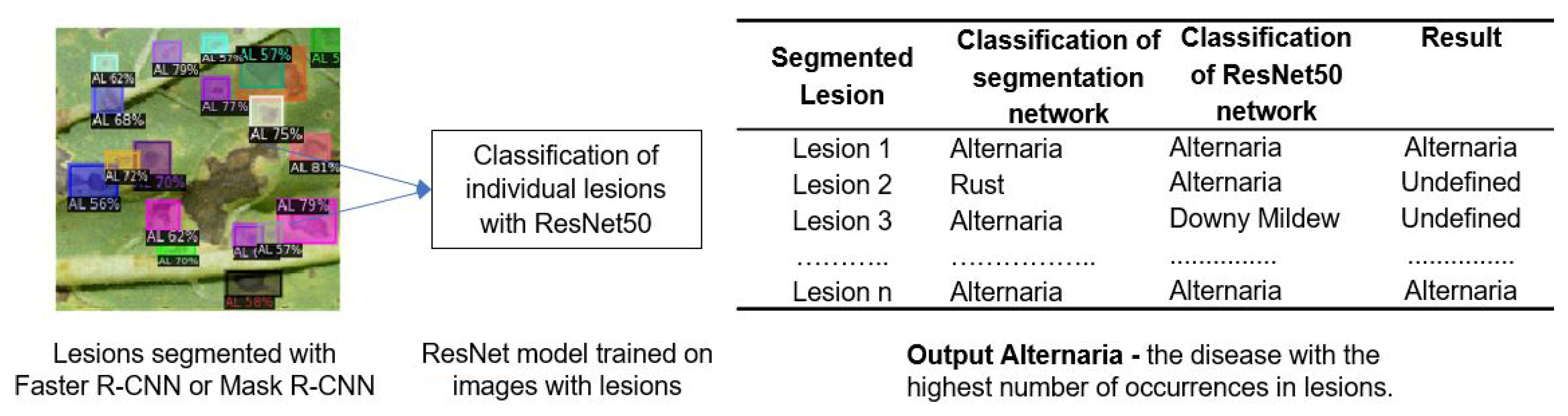 Sustainability 14 11312 g003