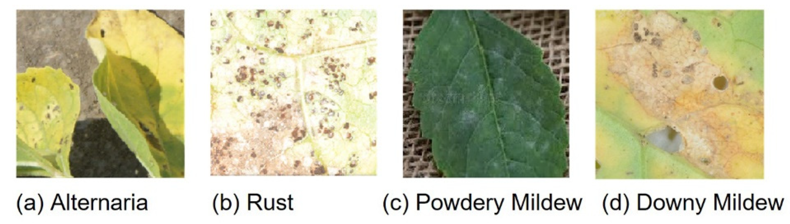 Sustainability 14 11312 g007