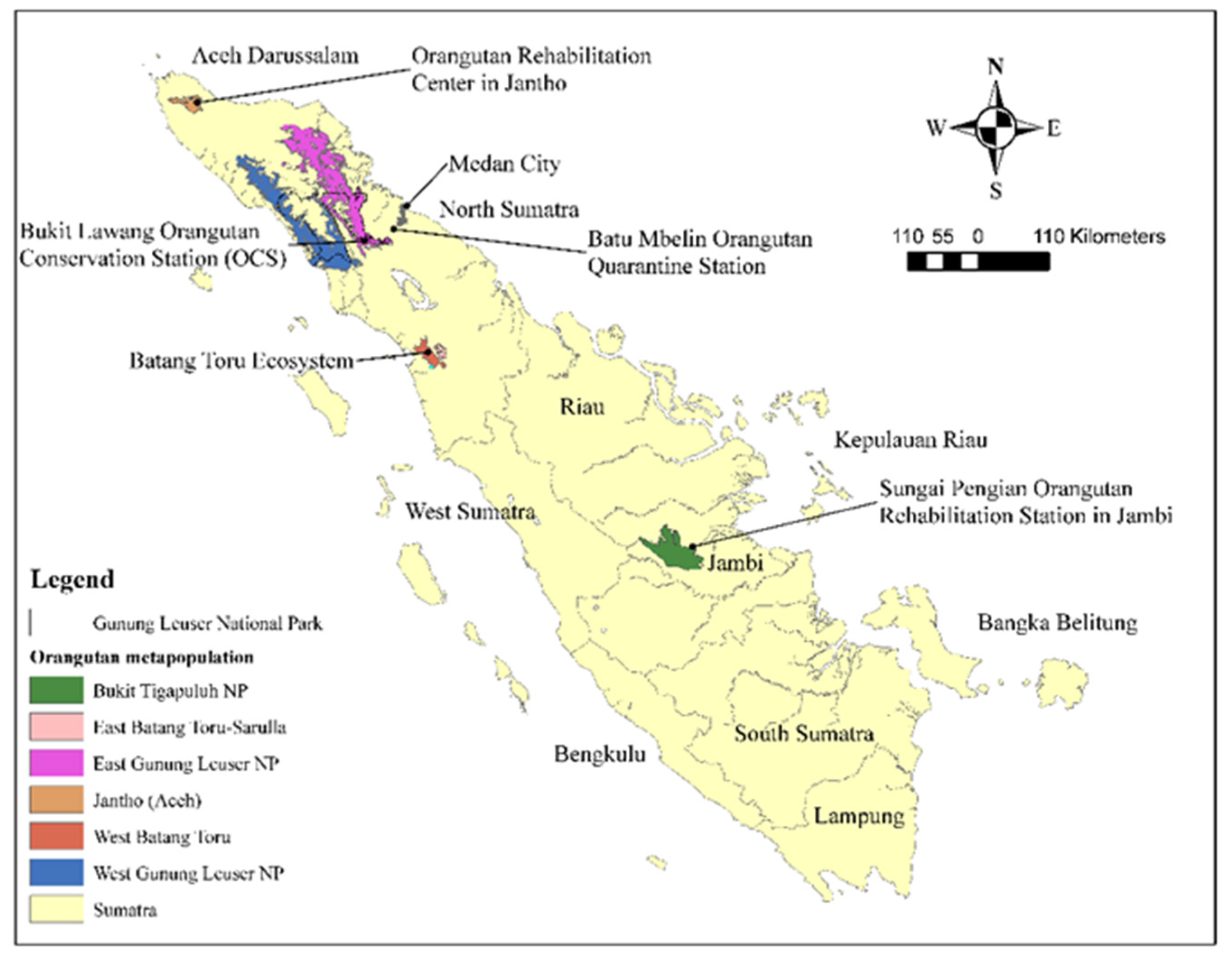 Sustainability | Free Full-Text | Orangutan Ecotourism on Sumatra ...