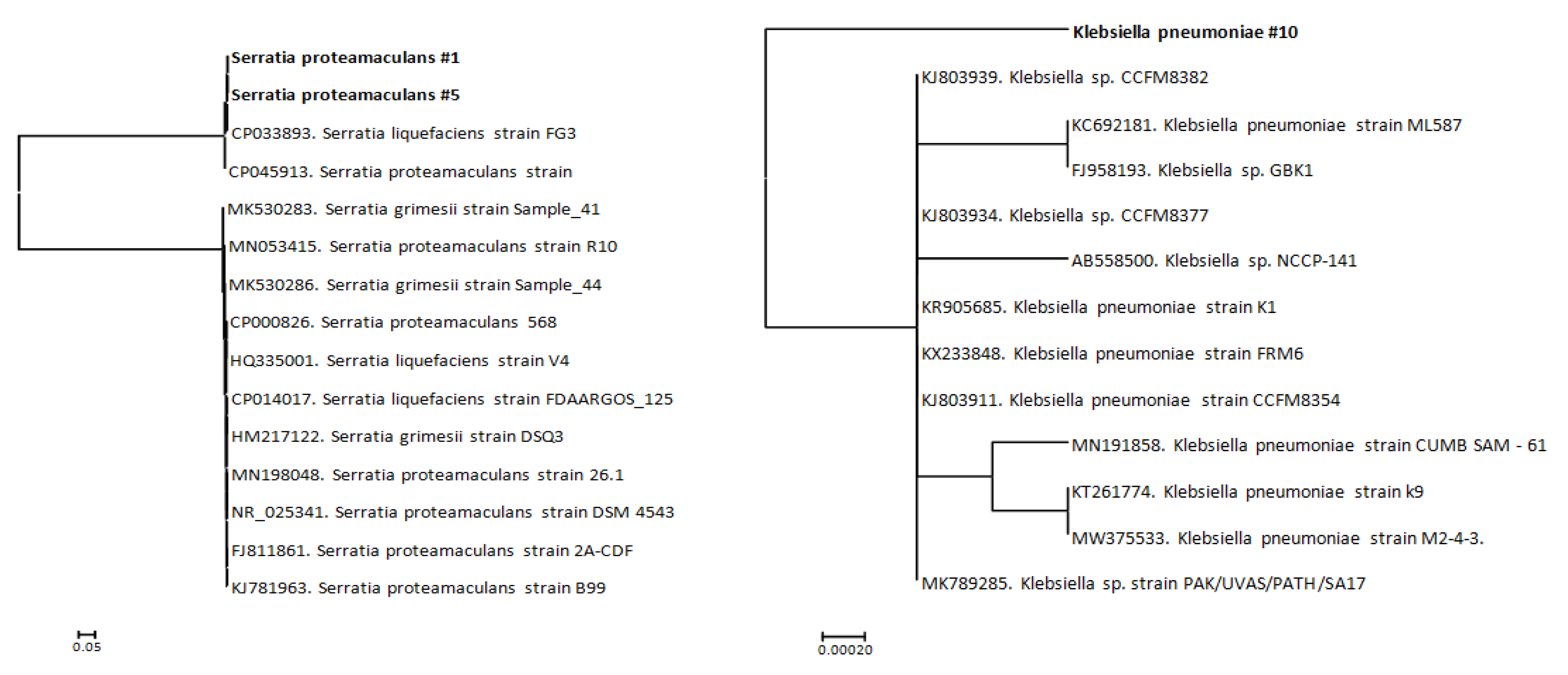 Sustainability 14 11335 g002 Sustainability 14 11335 g002
