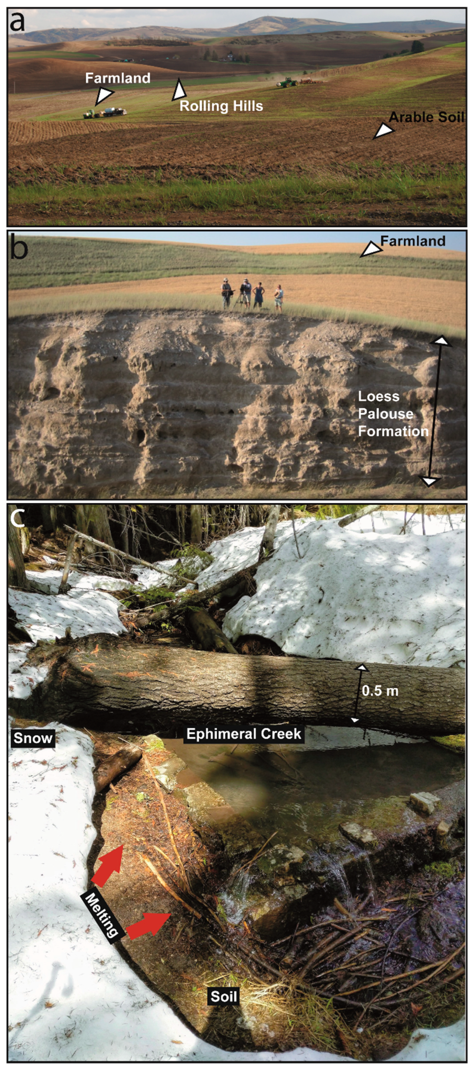 Sustainability 14 11349 g003