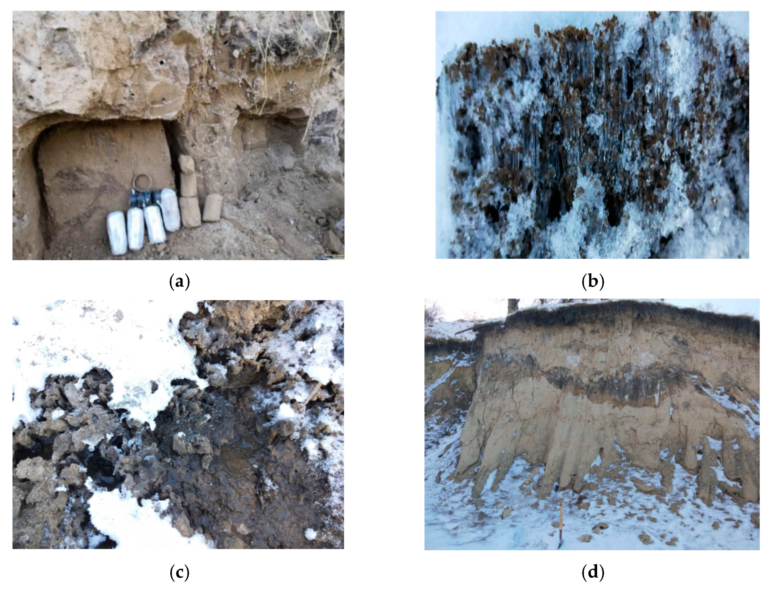 Sustainability 14 11357 g009