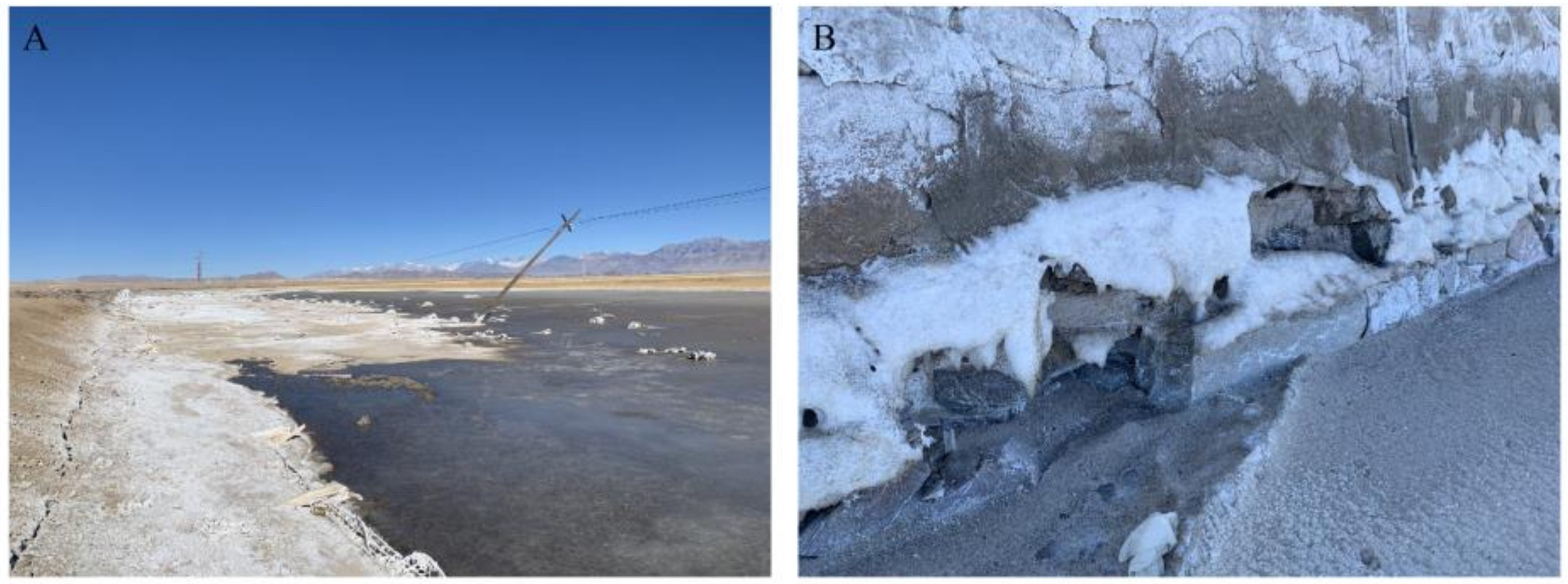 Sustainability 14 11372 g008 Sustainability 14 11372 g008