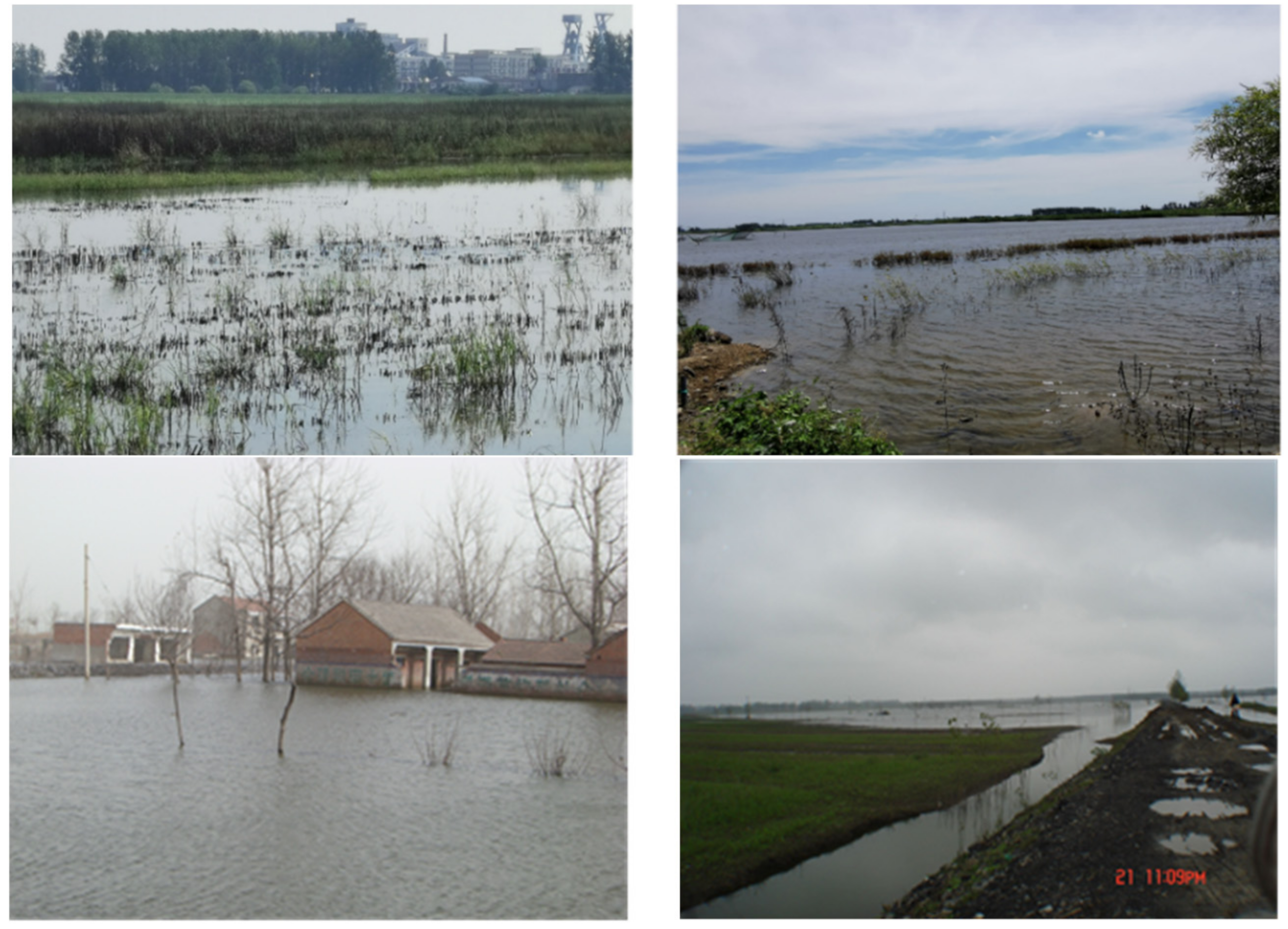 Sustainability 14 11397 g002