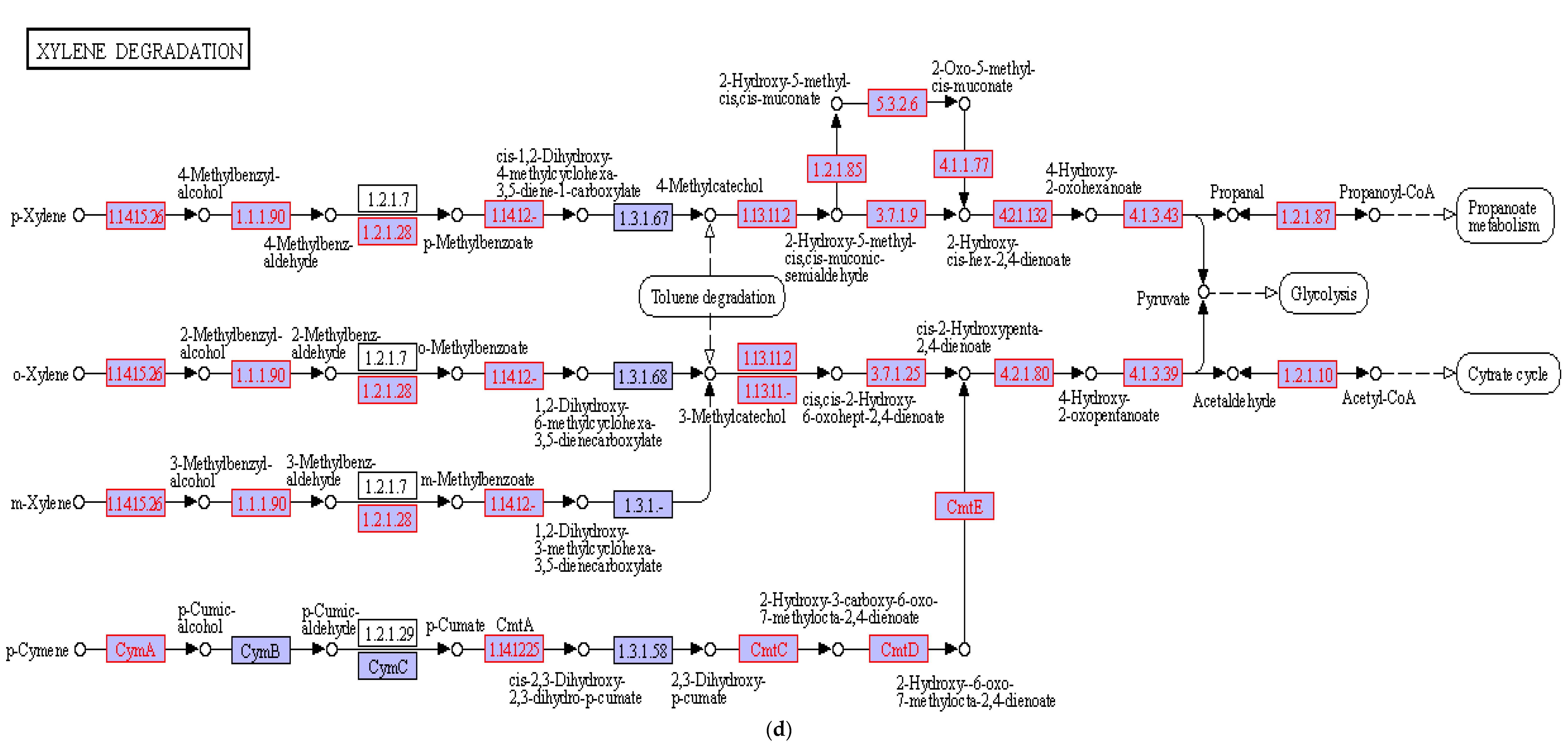 Sustainability 14 11455 g004d Sustainability 14 11455 g004d
