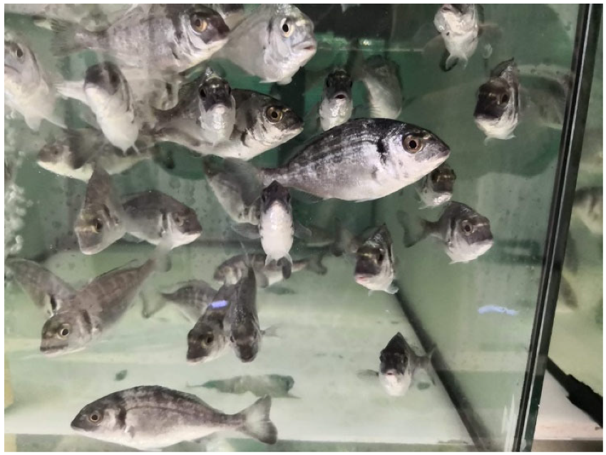 Sustainability 14 11469 g002 550