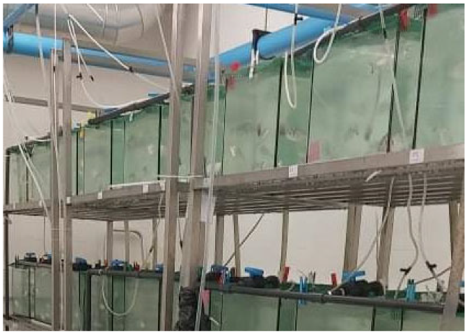 Sustainability 14 11469 g003 550