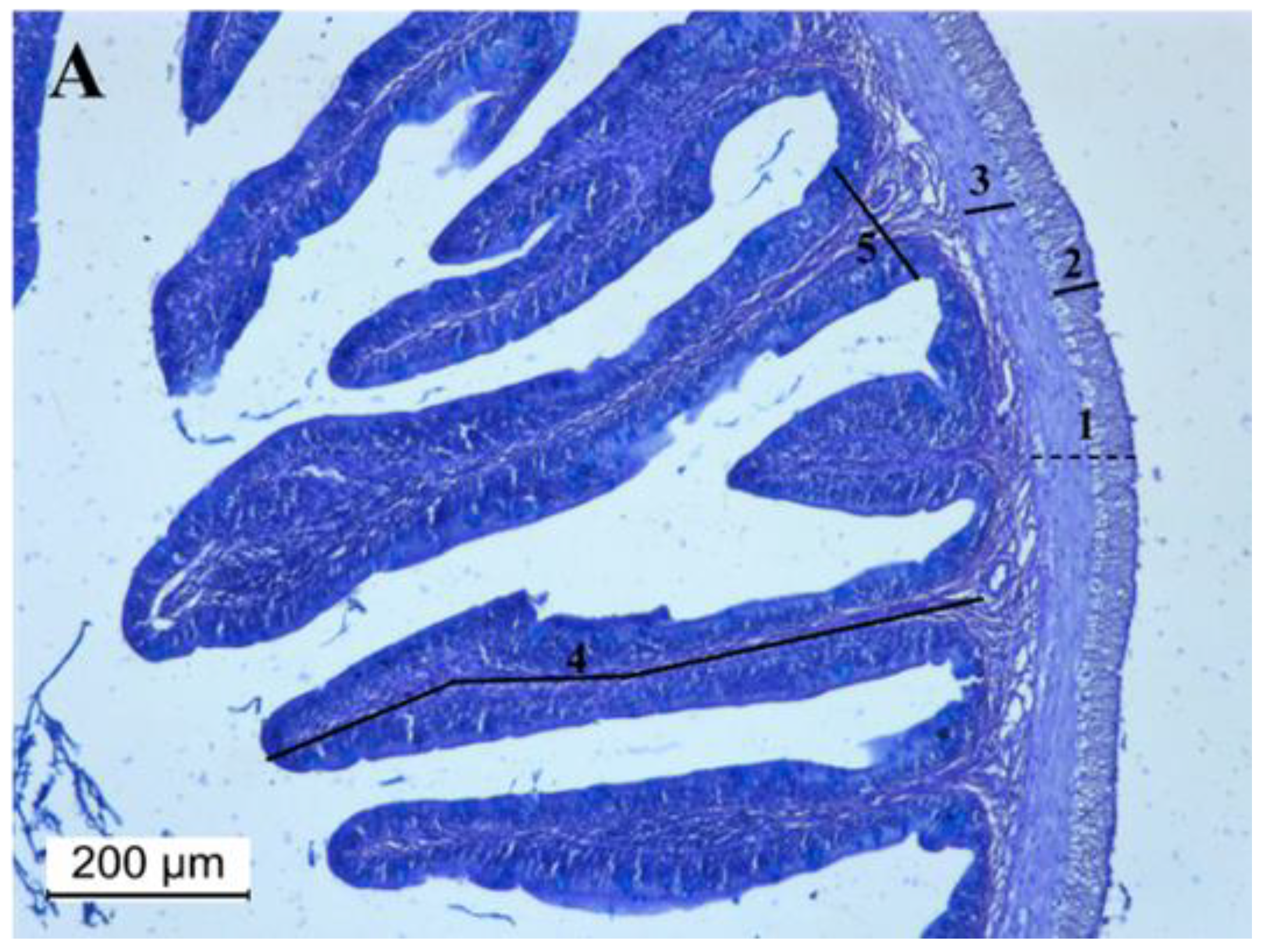 Sustainability 14 11469 g004a 550