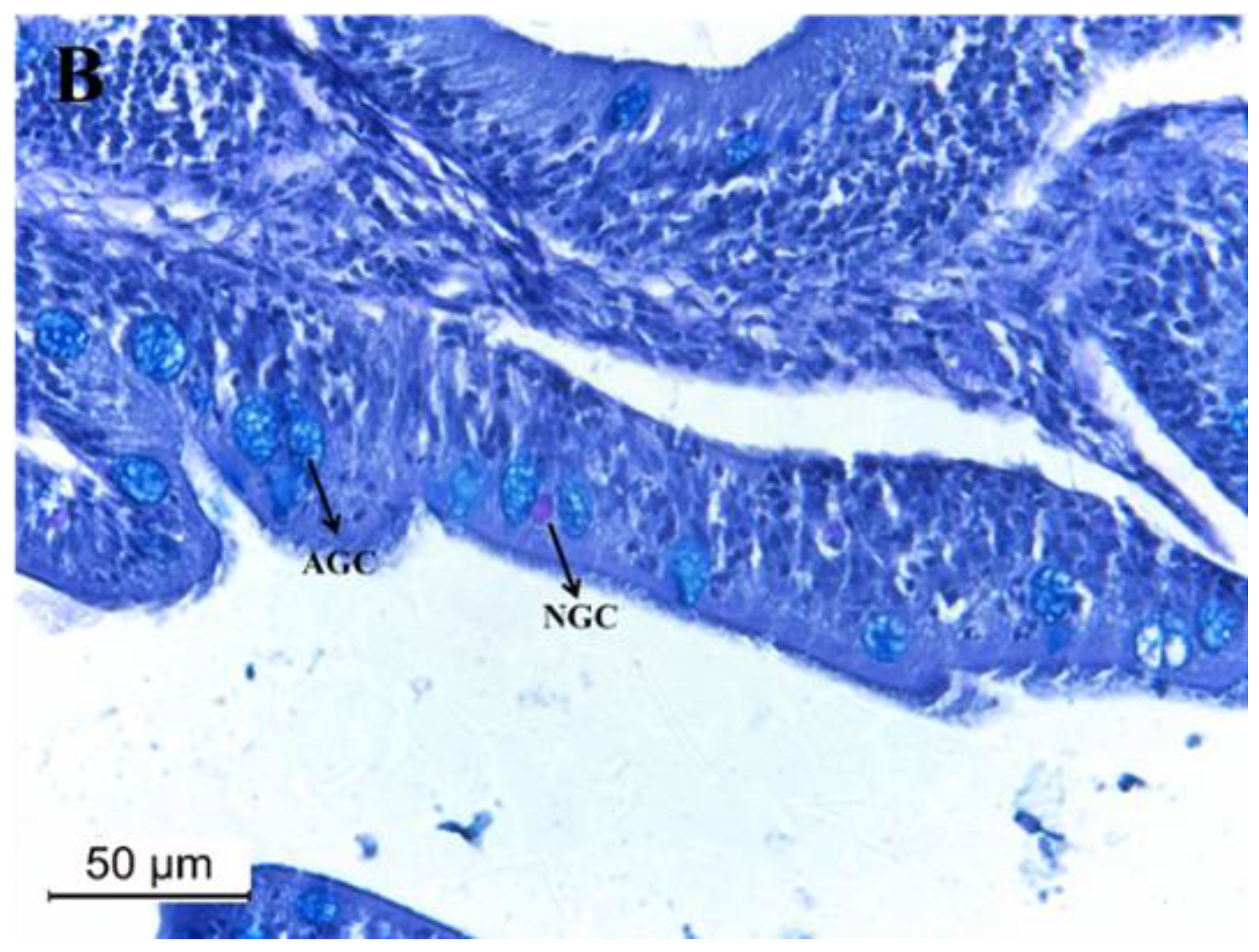 Sustainability 14 11469 g004b 550