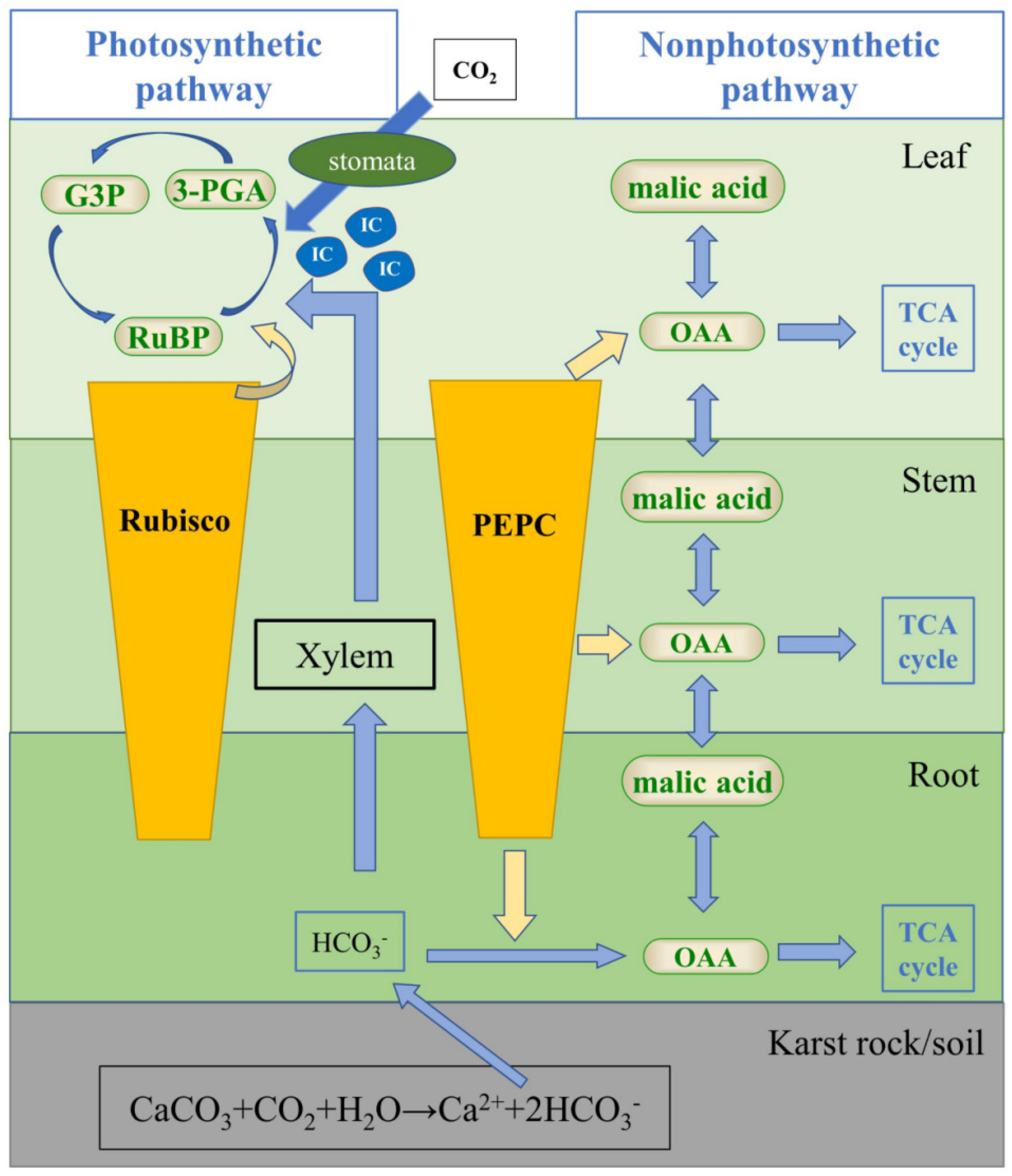Sustainability 14 11518 g005