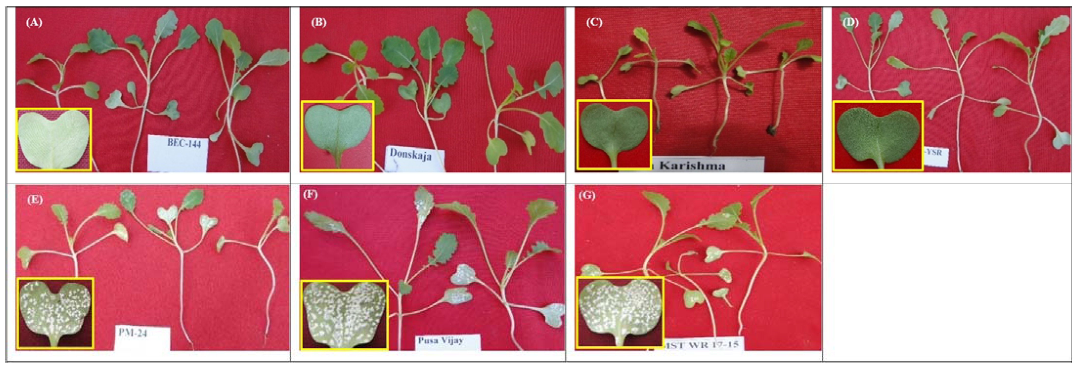 Sustainability 14 11620 g002 Sustainability 14 11620 g002