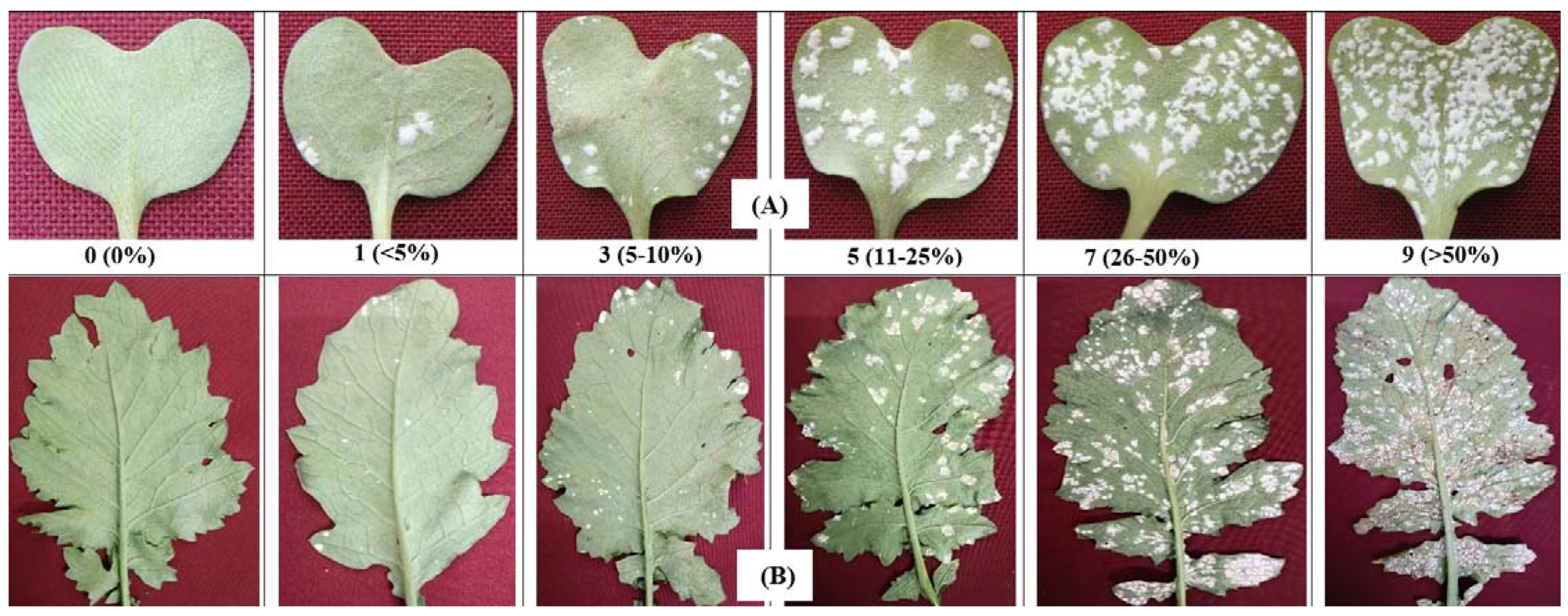 Sustainability 14 11620 g003 Sustainability 14 11620 g003