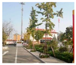 Sustainability 14 11622 i002