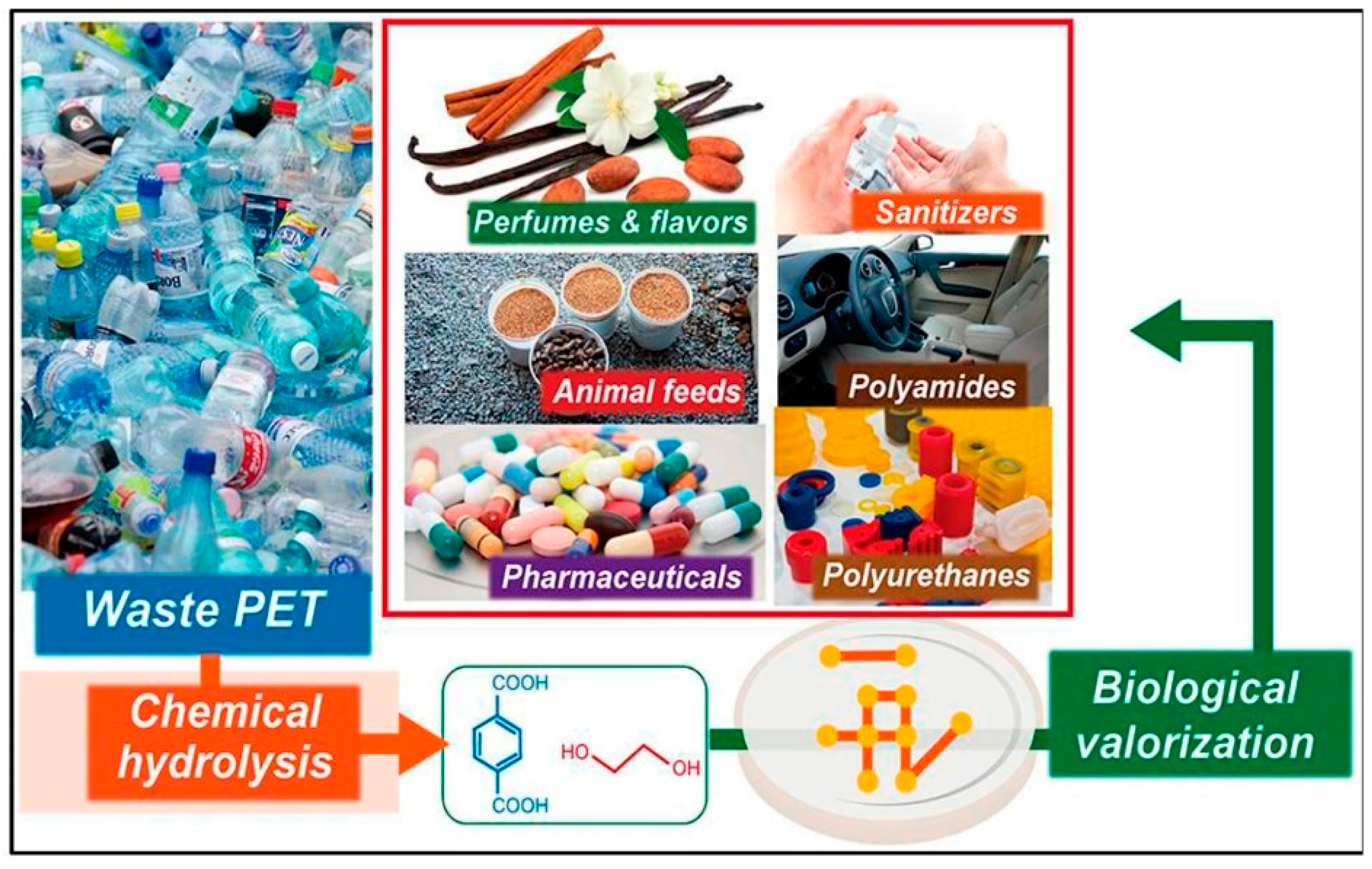 Sustainability 14 11637 g011 Sustainability 14 11637 g011
