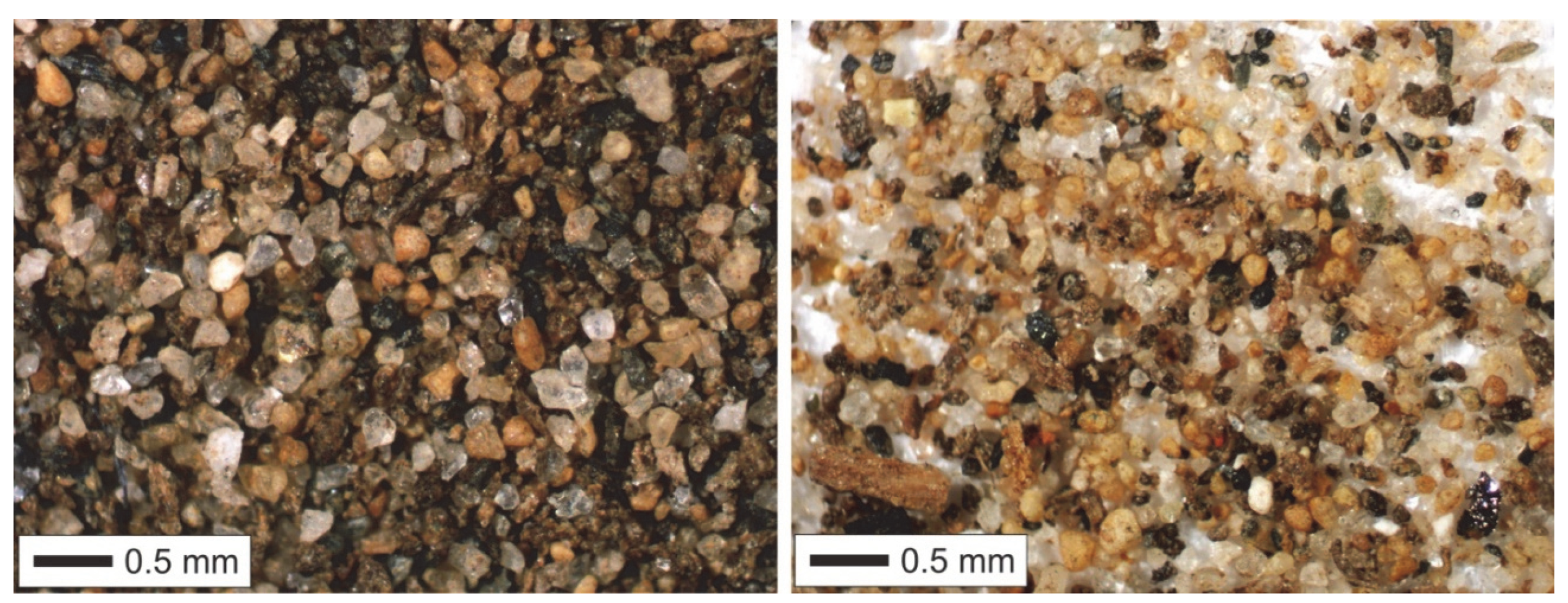 Sustainability 14 11655 g005 550