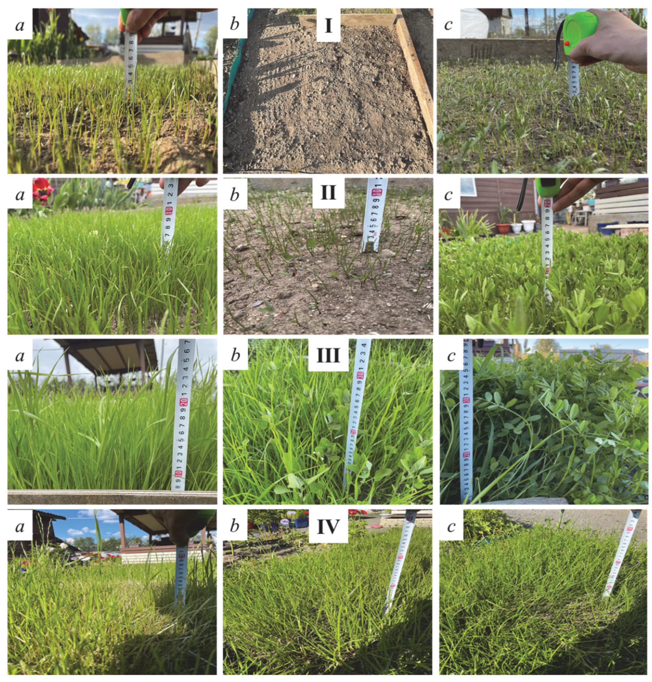 Sustainability 14 11655 g007 550