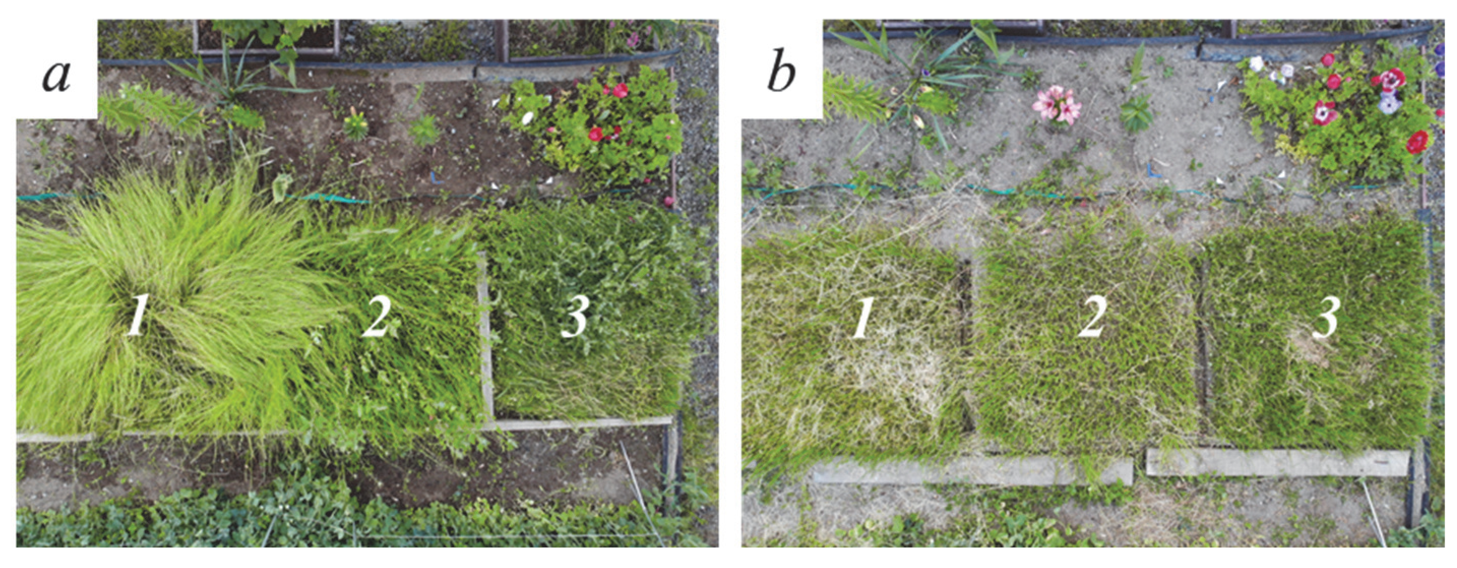 Sustainability 14 11655 g008 550