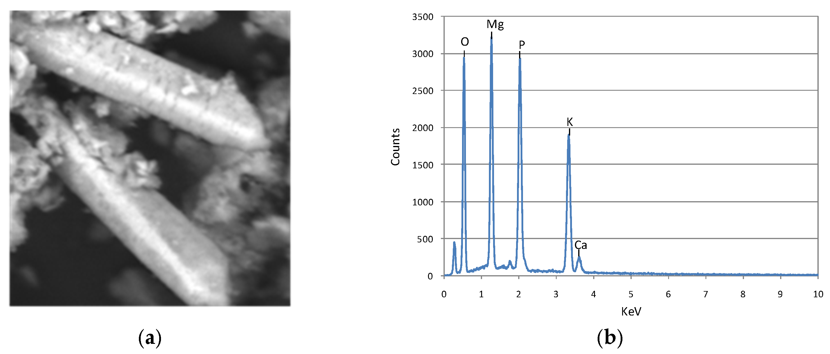 Sustainability 14 11680 g002 Sustainability 14 11680 g002