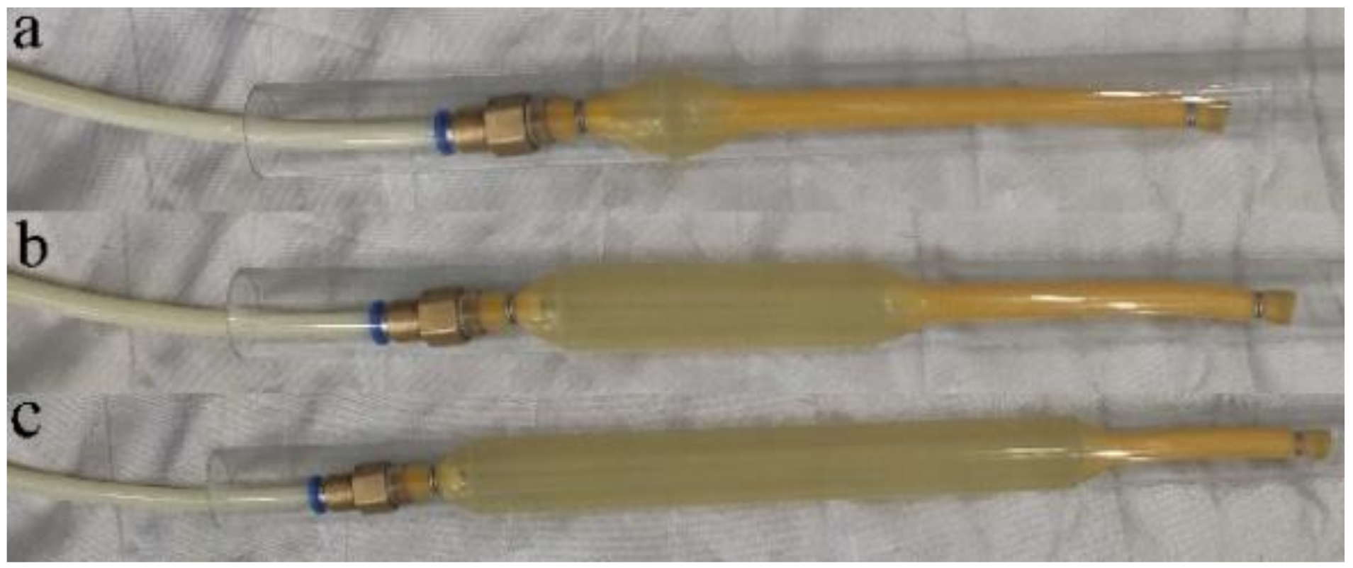 Sustainability 14 11689 g006 550