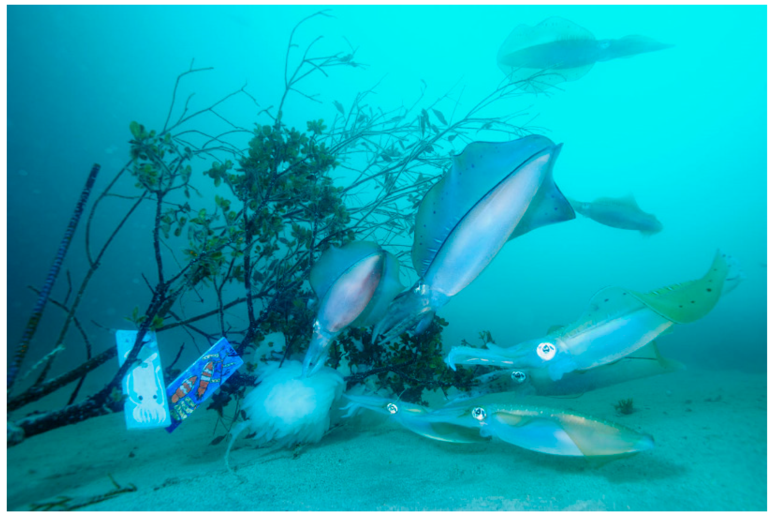 Sustainability 14 11702 g004 Sustainability 14 11702 g004