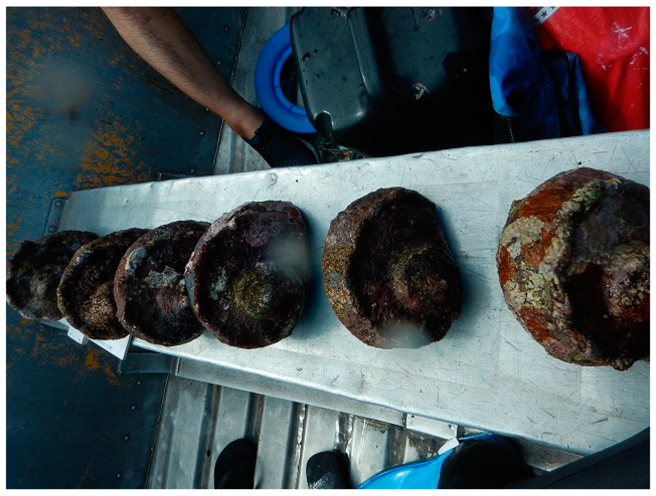 Sustainability 14 11702 g005 Sustainability 14 11702 g005