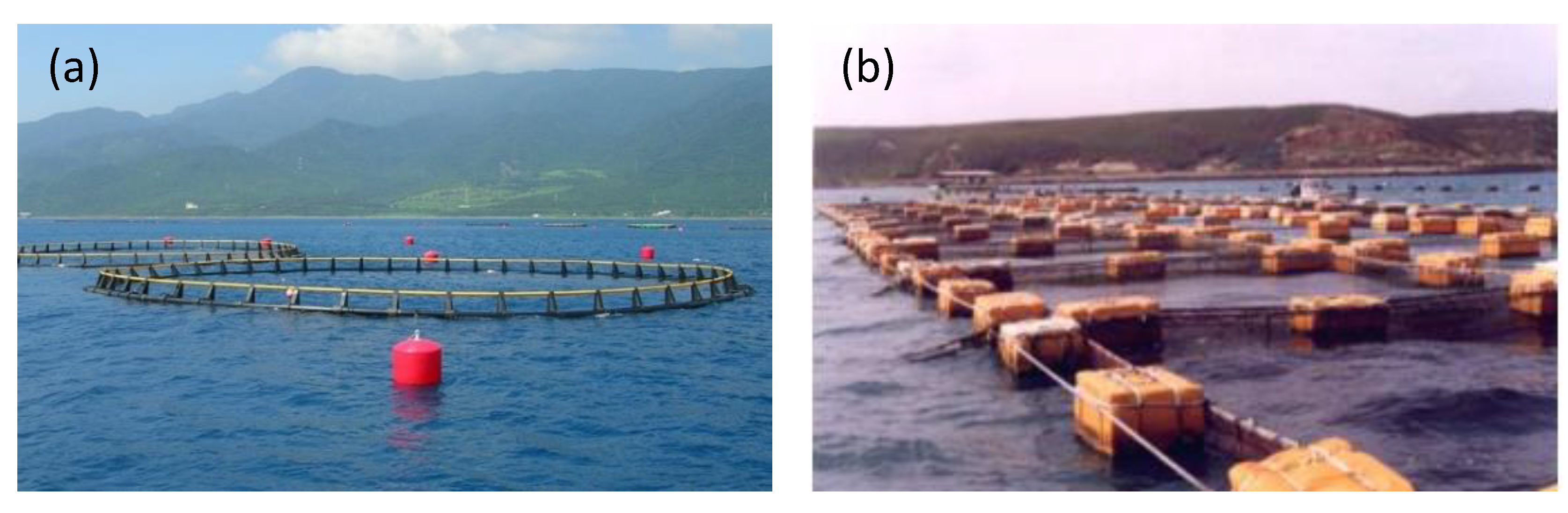 Sustainability 14 11705 g003