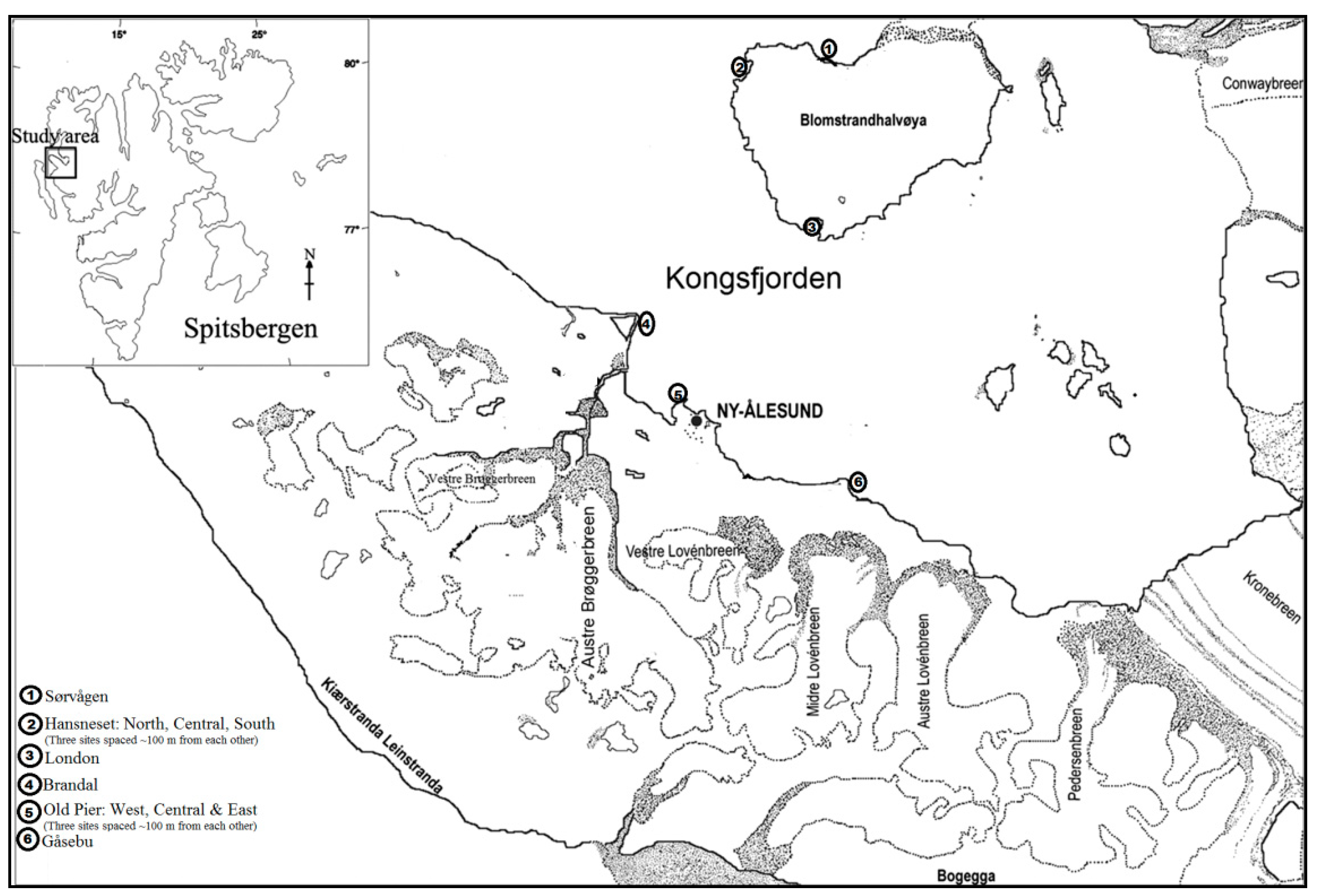 Sustainability 14 11727 g001 Sustainability 14 11727 g001
