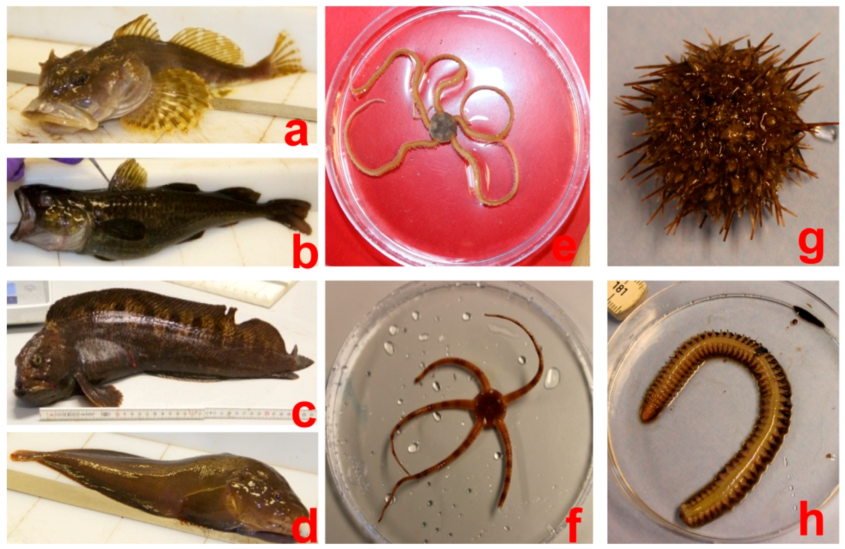 Sustainability 14 11727 g002 Sustainability 14 11727 g002