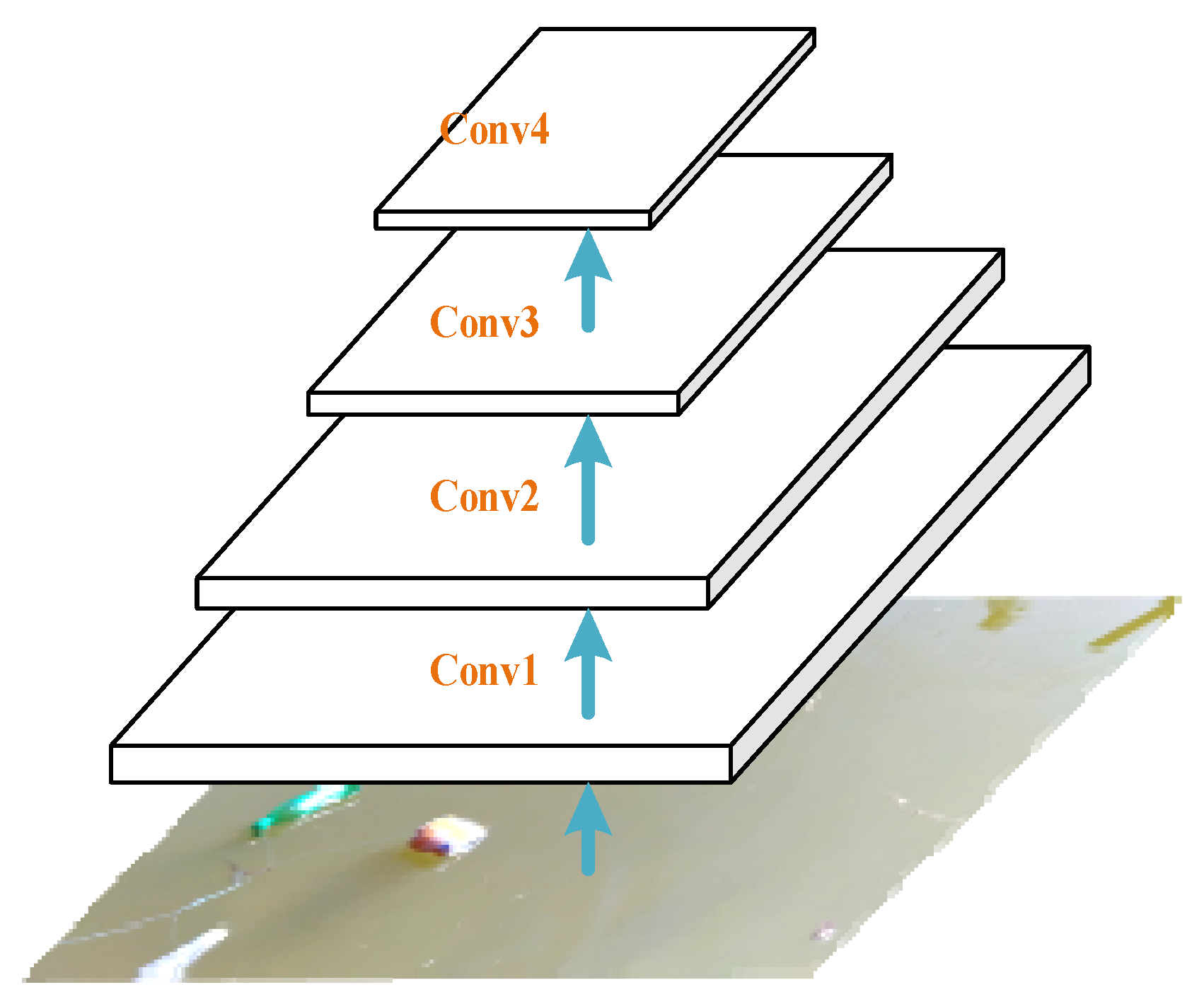 Sustainability 14 11729 g002