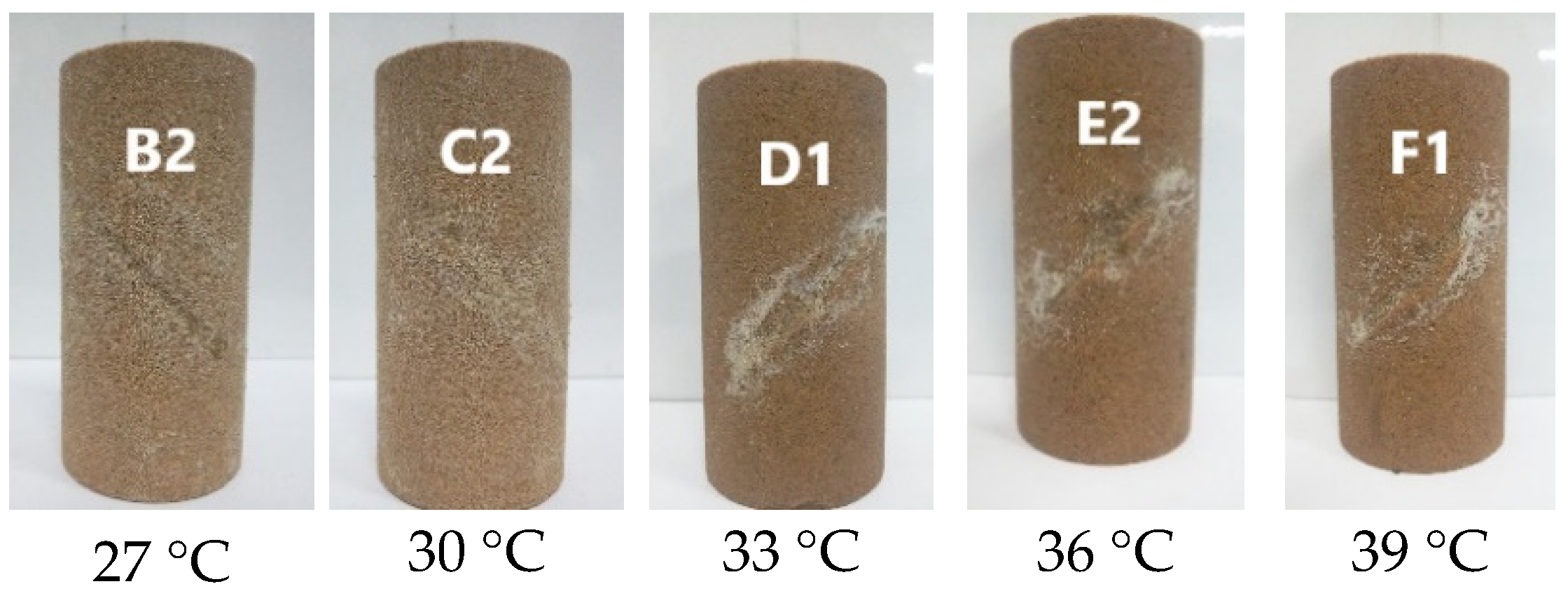 Sustainability 14 11770 g002