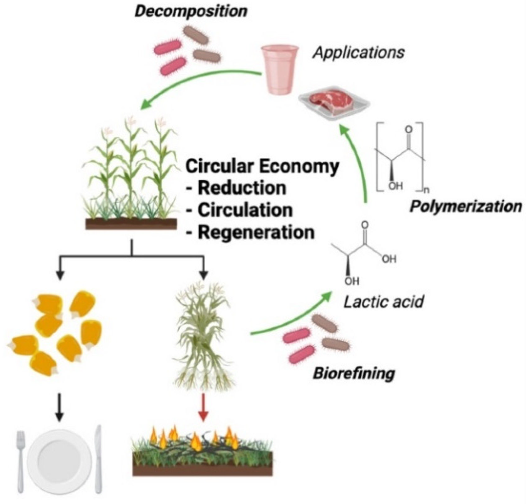 Sustainability 14 11799 g001 Sustainability 14 11799 g001
