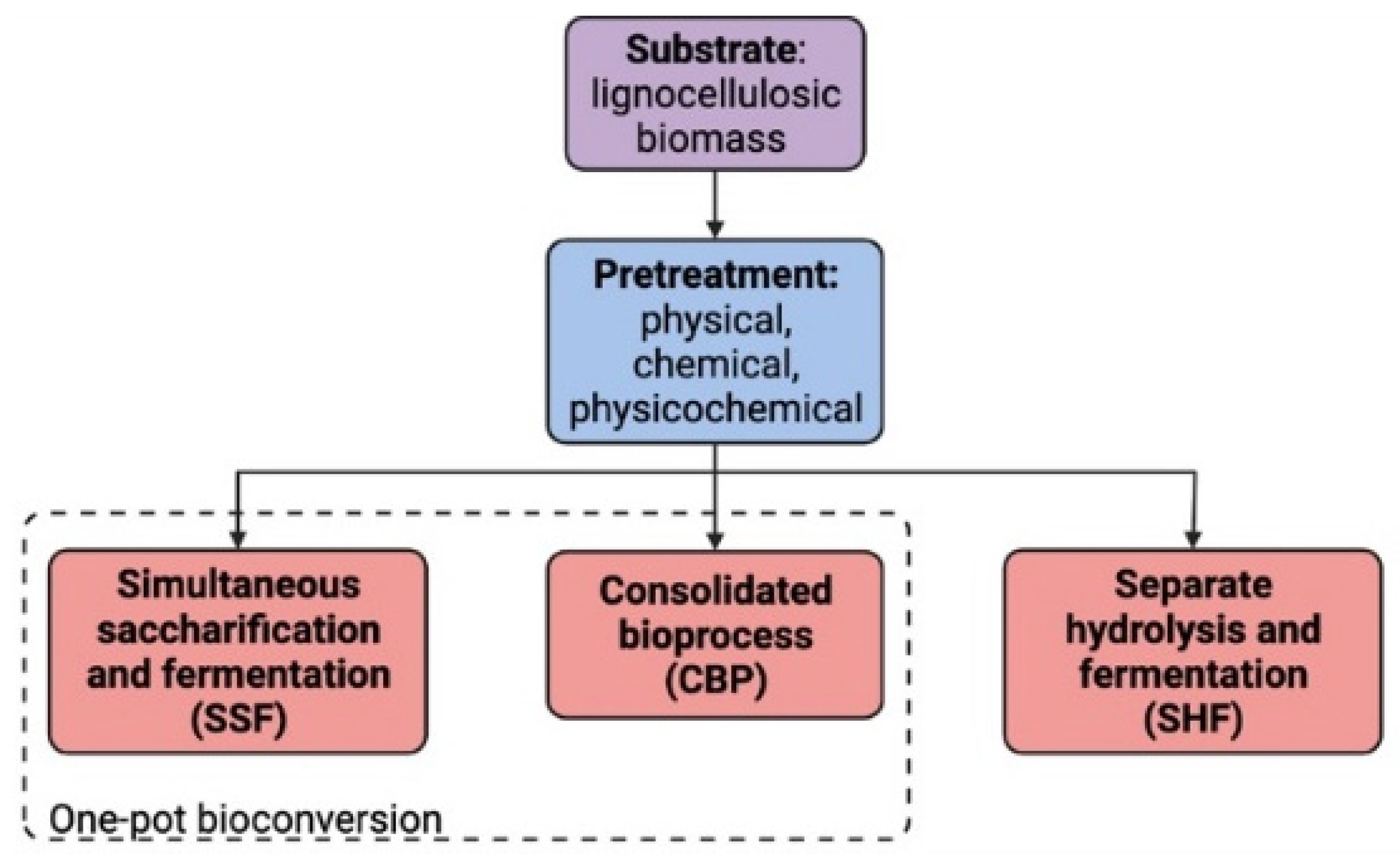 Bioconversion of Corn Crop Residues Encyclopedia MDPI
