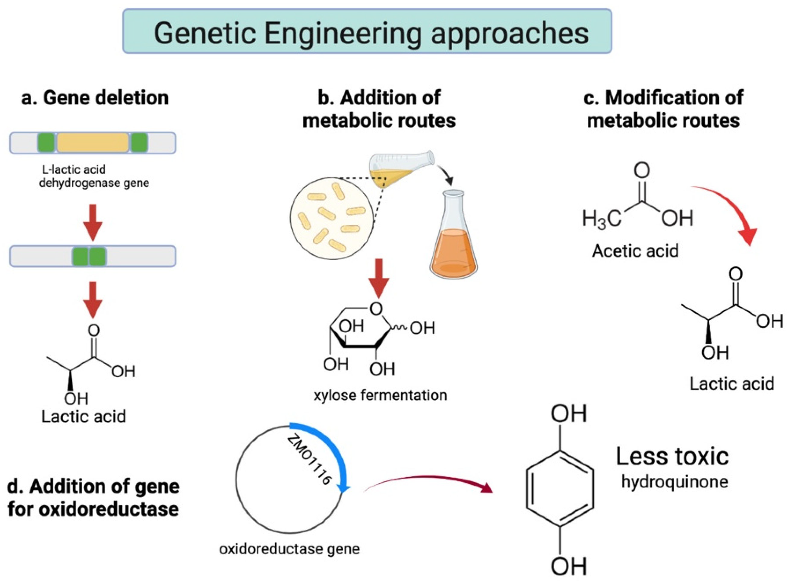 Sustainability 14 11799 g004 Sustainability 14 11799 g004