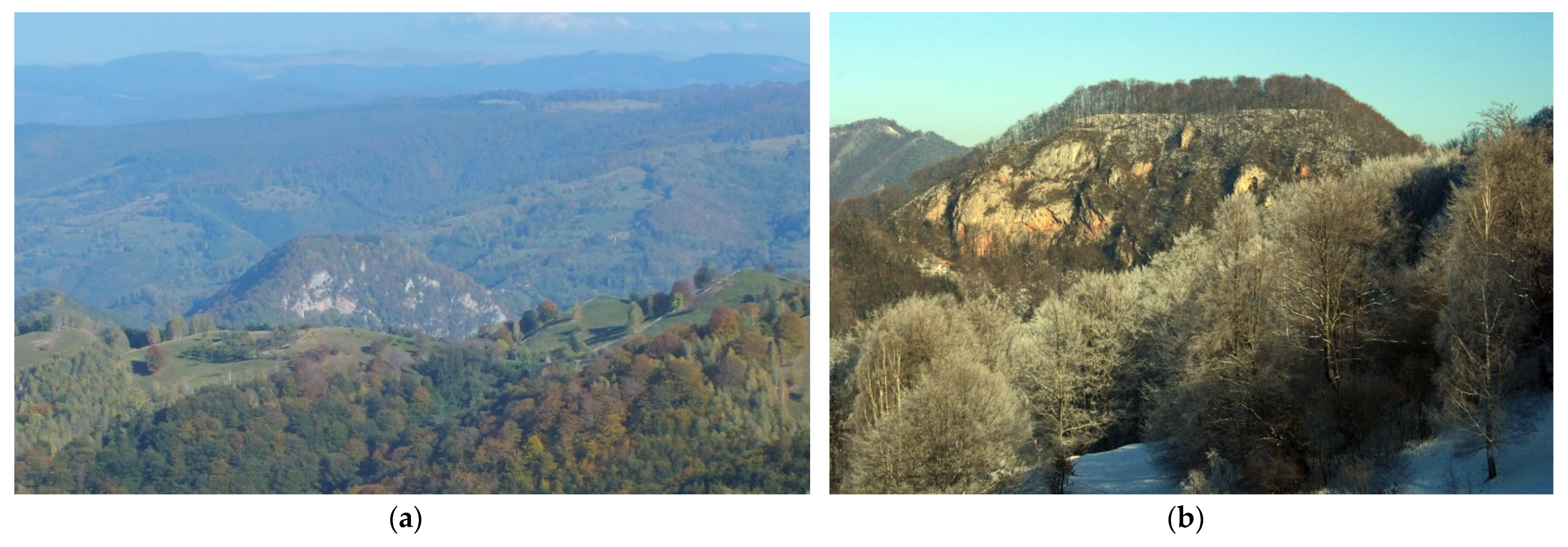 Sustainability 14 11818 g003