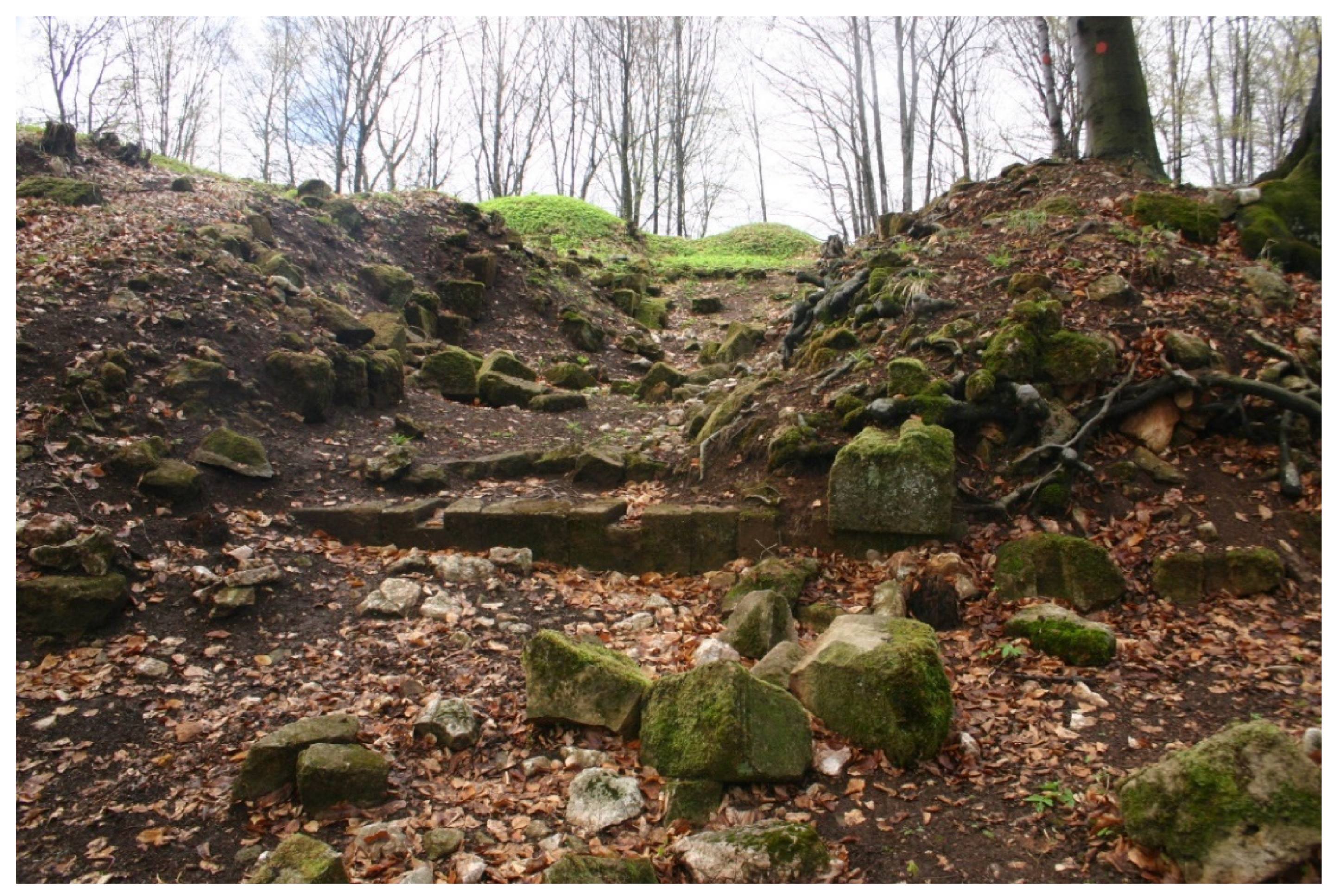 Sustainability 14 11818 g011