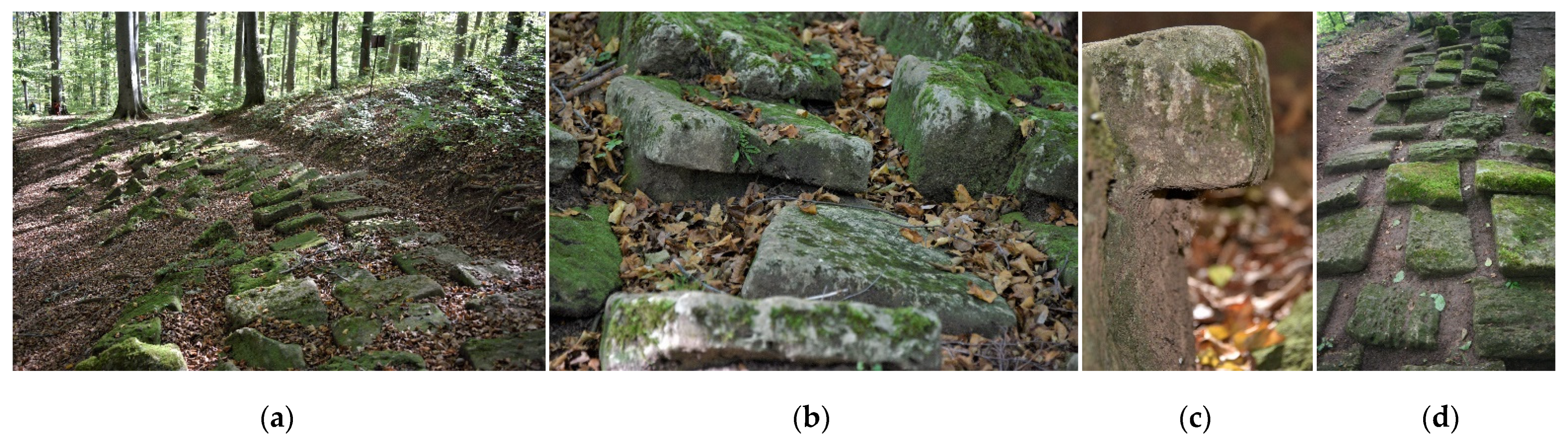 Sustainability 14 11818 g012