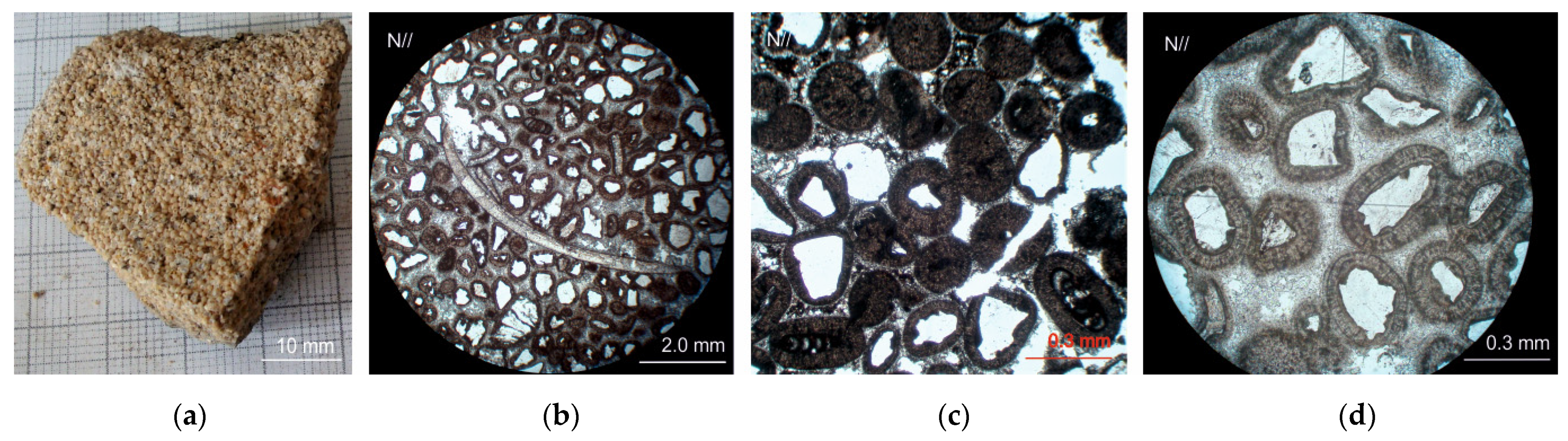 Sustainability 14 11818 g013