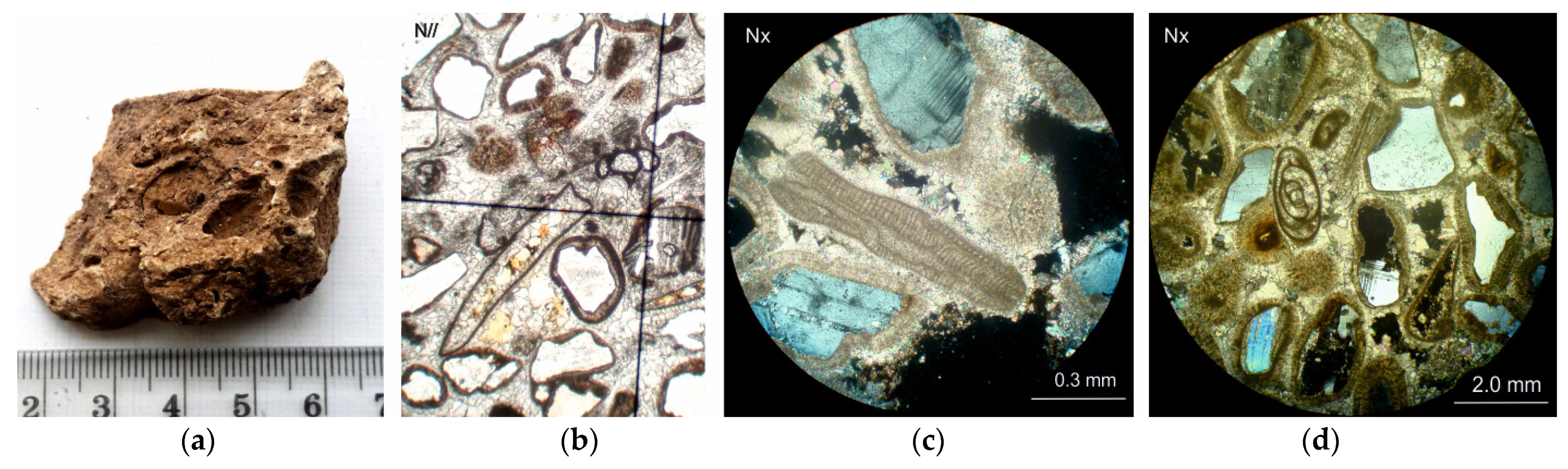 Sustainability 14 11818 g017