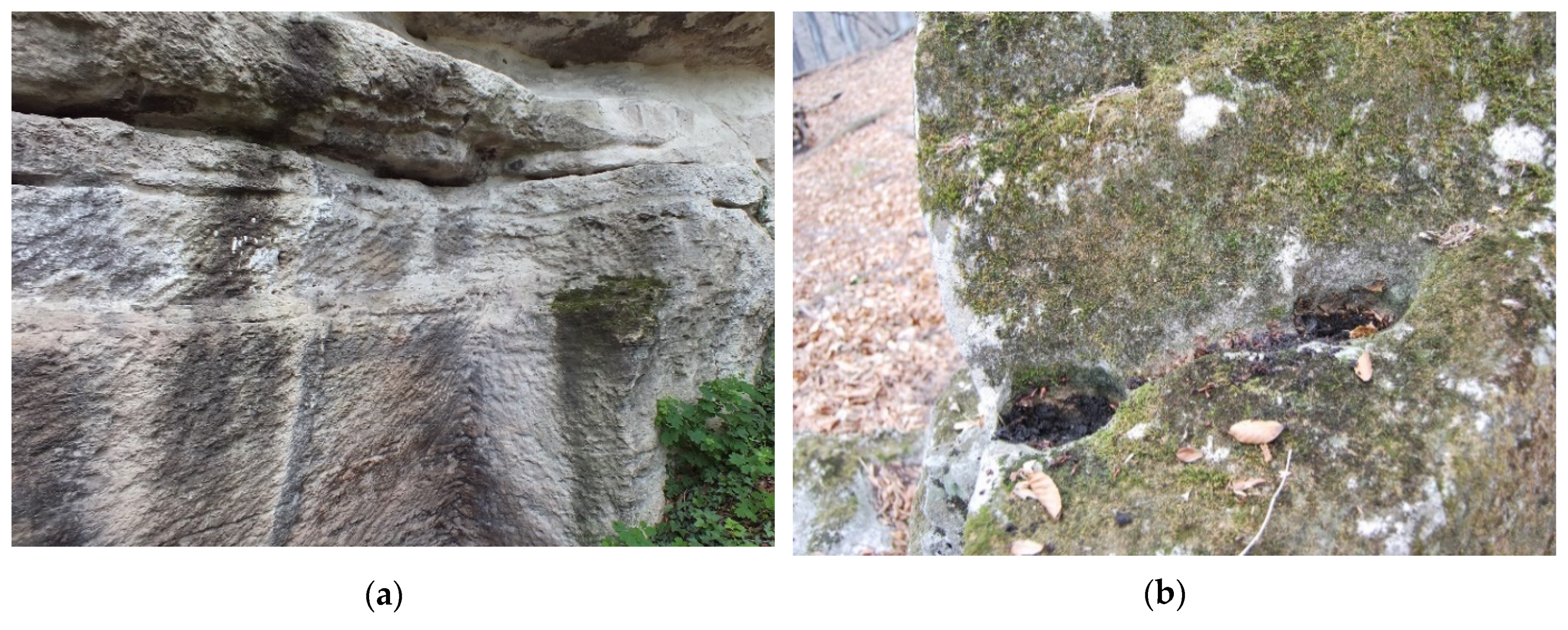 Sustainability 14 11818 g019a