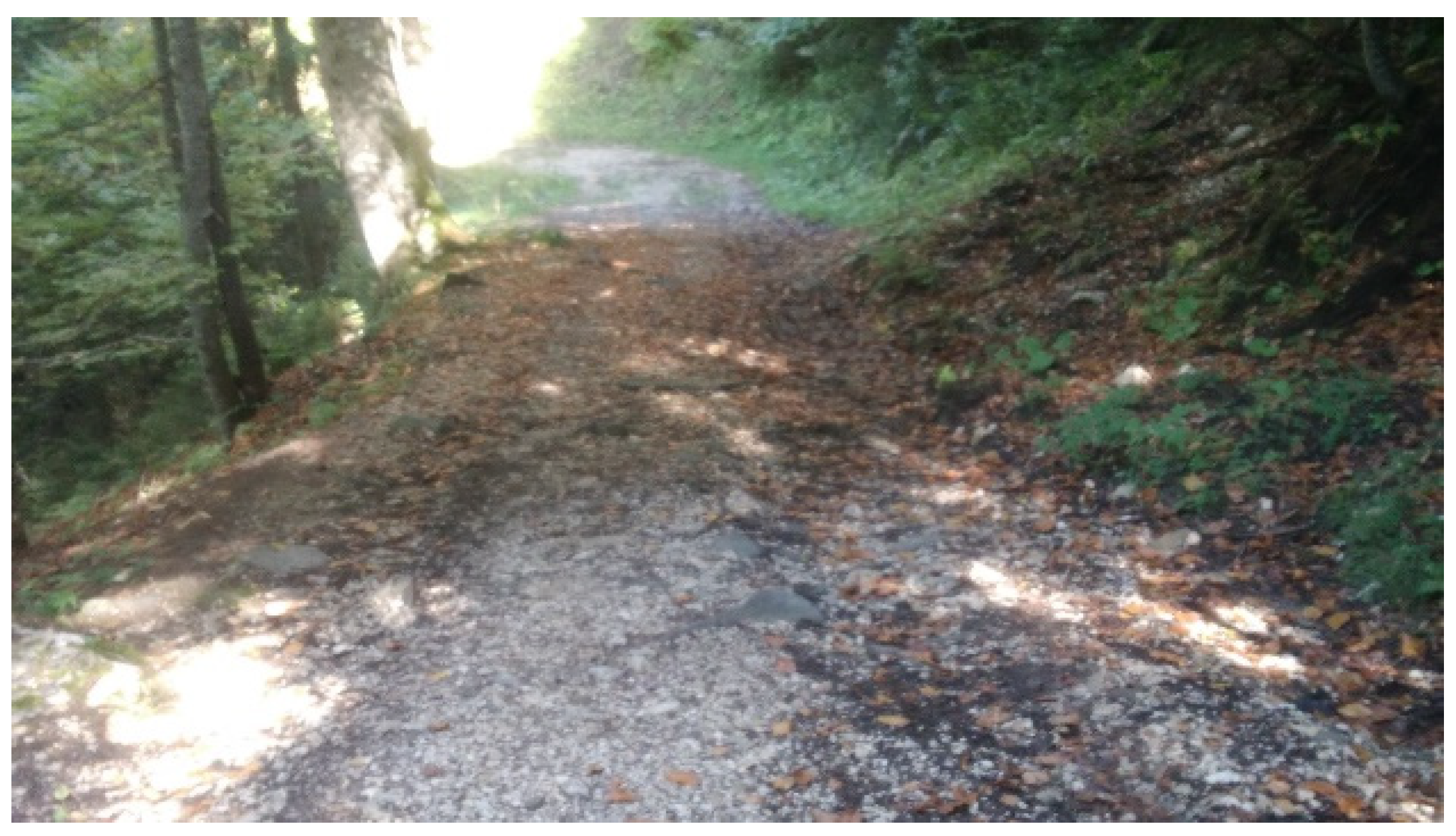 Sustainability 14 11870 g001 Sustainability 14 11870 g001